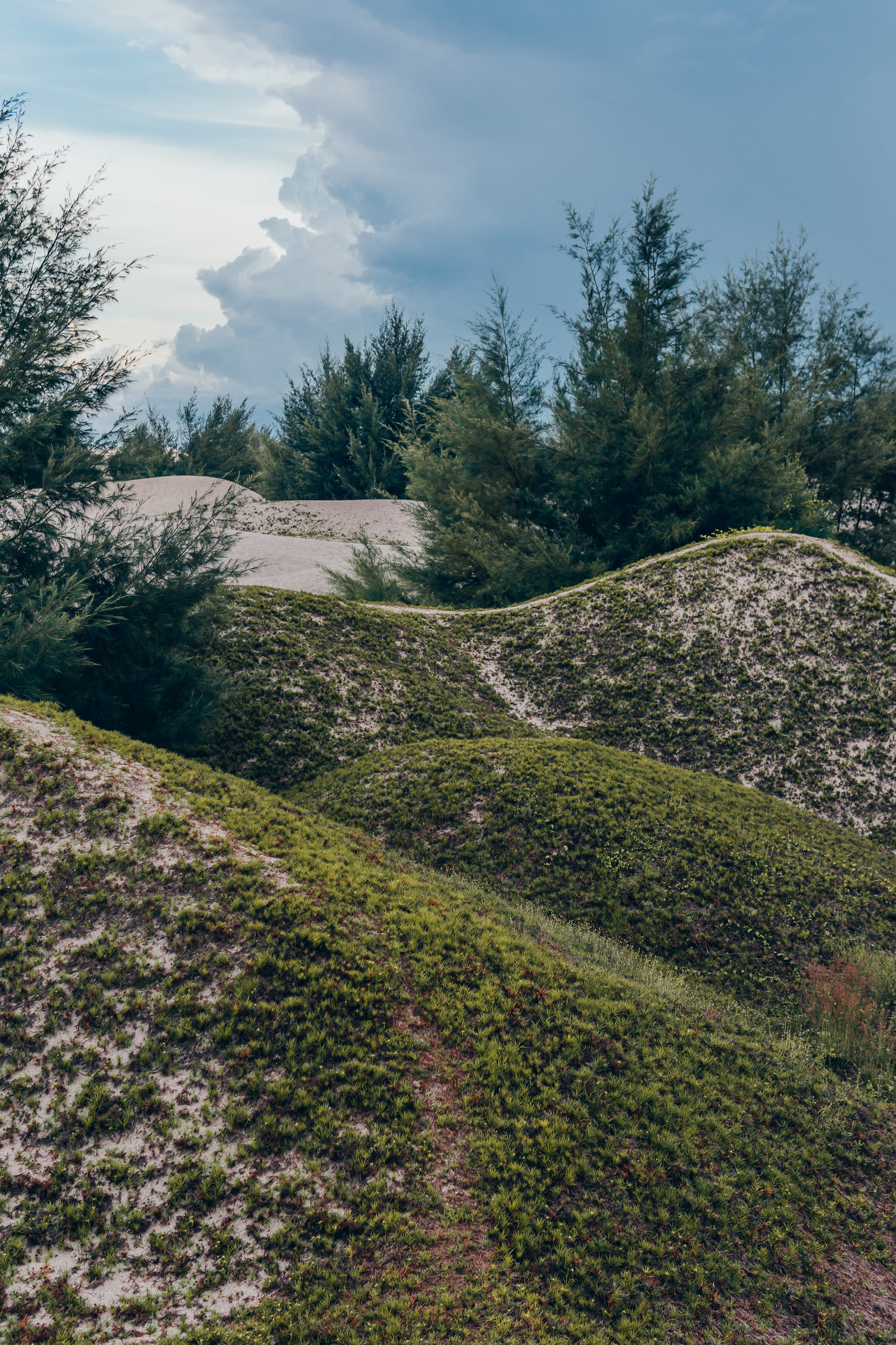 nature, sand dunes, malaysia, vibrant, tranquil scene, no people, 5K, trees, day, environment, mountain, grass, sand, melaka, tranquility, iphone, Phone HD Wallpaper