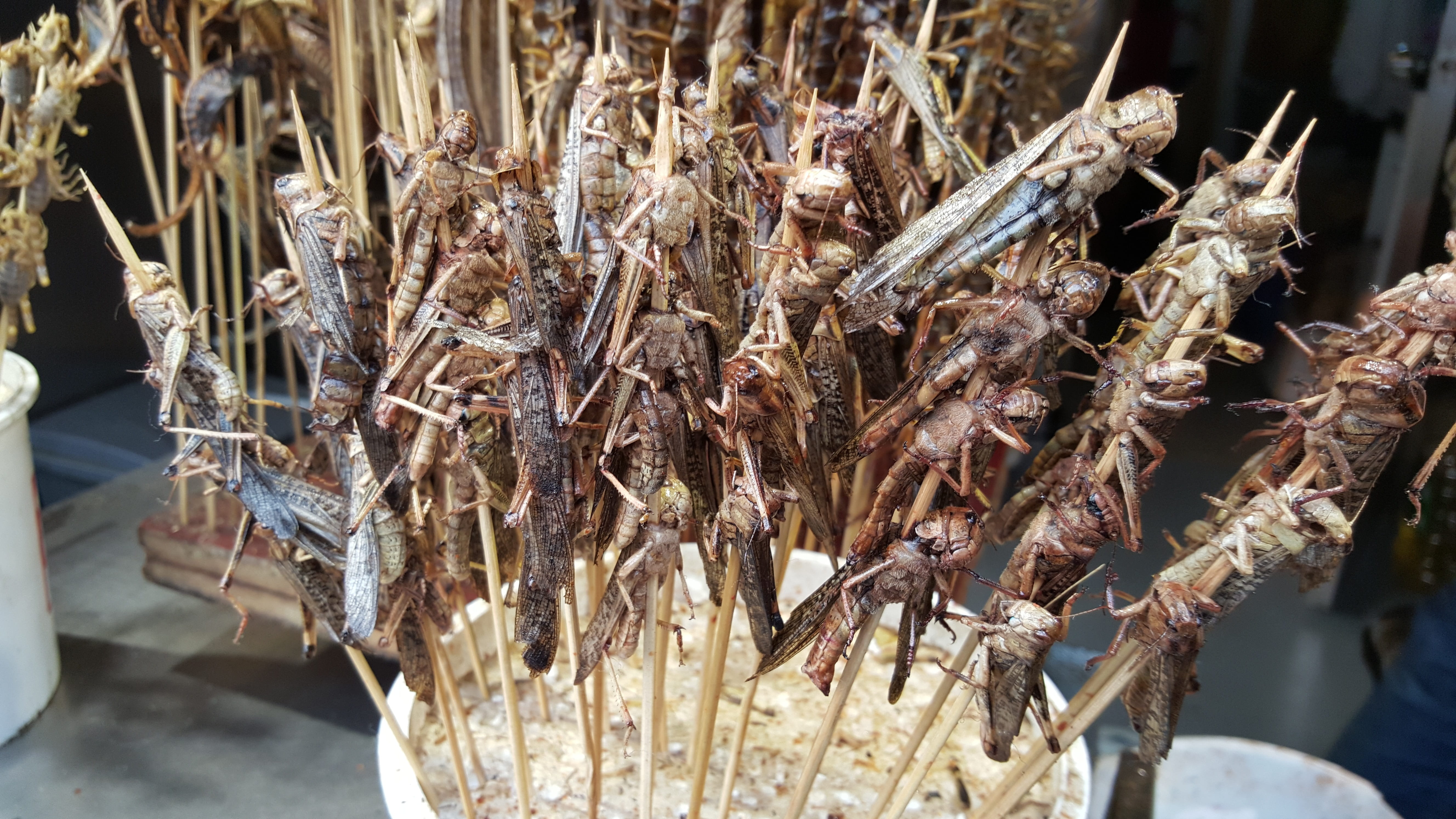 fishing industry, retail display, high angle view, chinese food, wellbeing, food and drink, freshness, locust, fried, seafood, animal, food, outdoors, grasshopper, HD Wallpaper