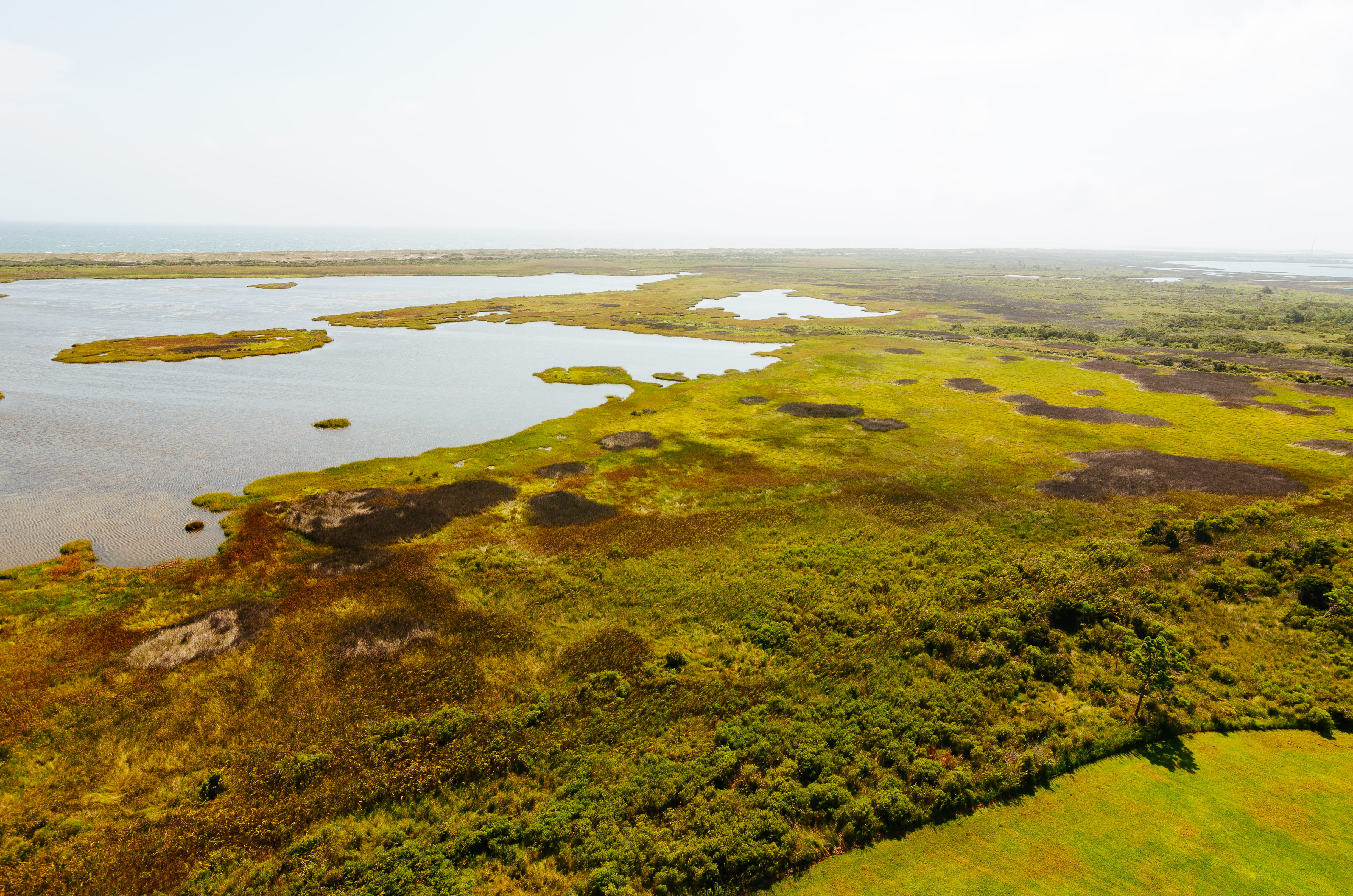 grasslands, nags head, no people, plant, beach, 4K, lagoon, tranquil scene, tranquility, swamp, horizon over water, horizon, outdoors, sea, day, water, HD Wallpaper