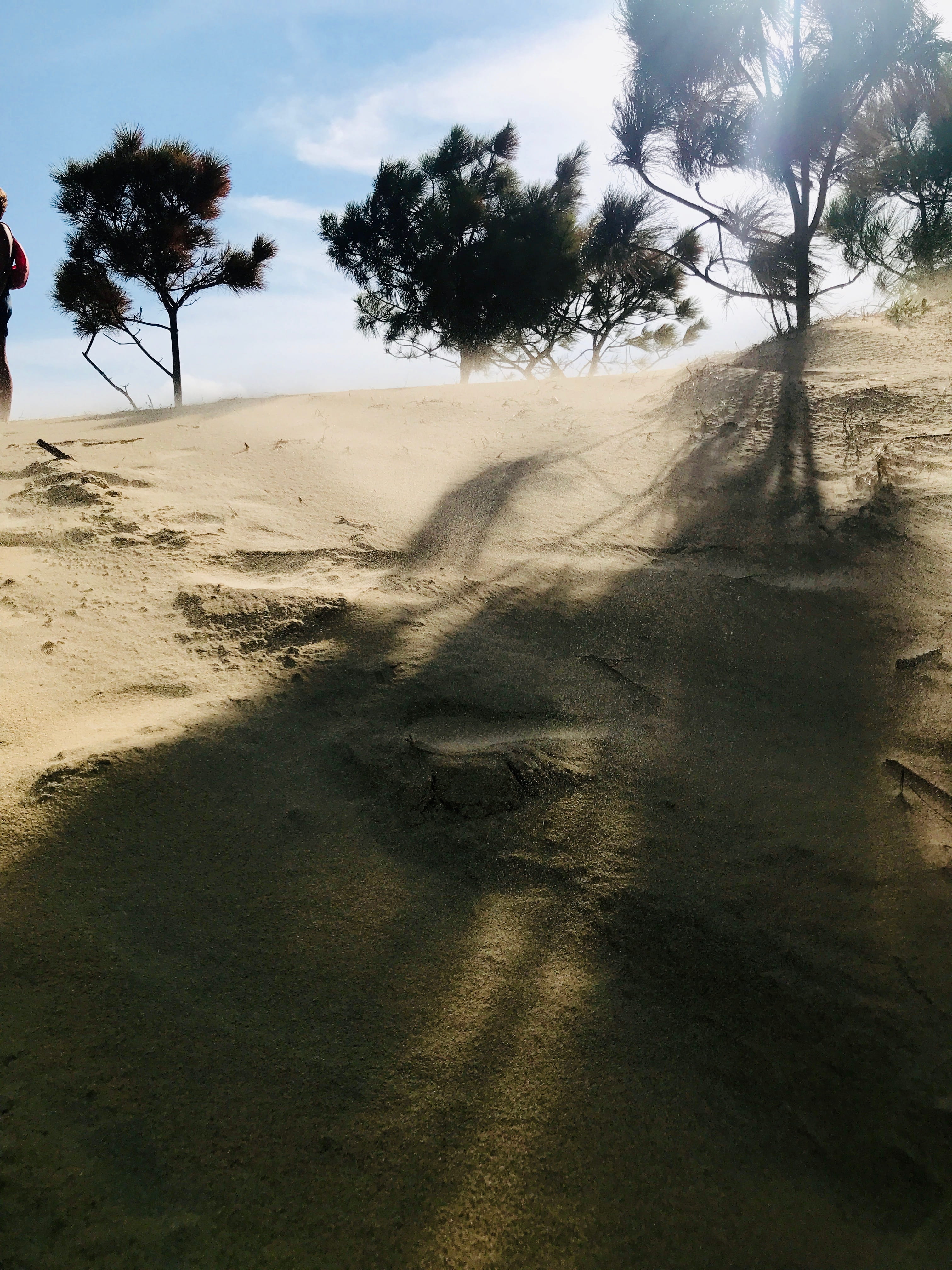 light, no people, non-urban scene, cloud - sky, outdoors, 300 w carolista dr, nags head, tree, tranquil scene, hill, plant, sunset, forest, desert, sand, Phone HD Wallpaper