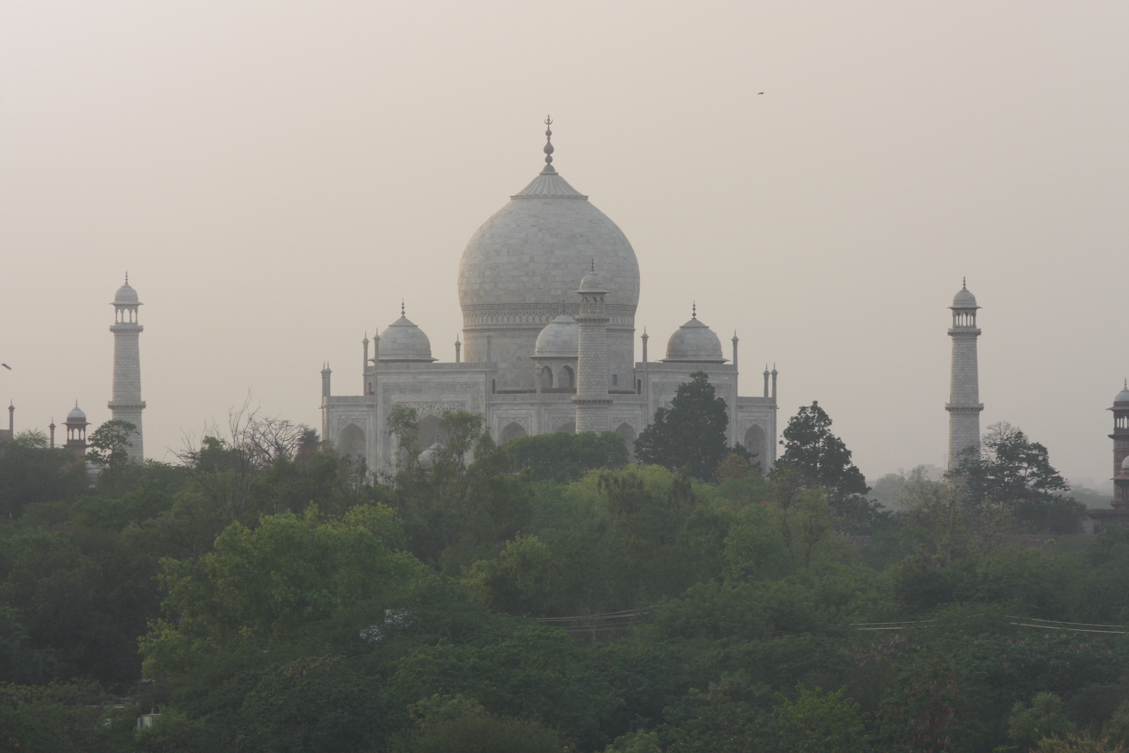 travel, outdoors, india, tourism, building, place of worship, sky, minaret, mosque, agra, city, religion, building exterior, asia, tree, history, built structure, HD Wallpaper