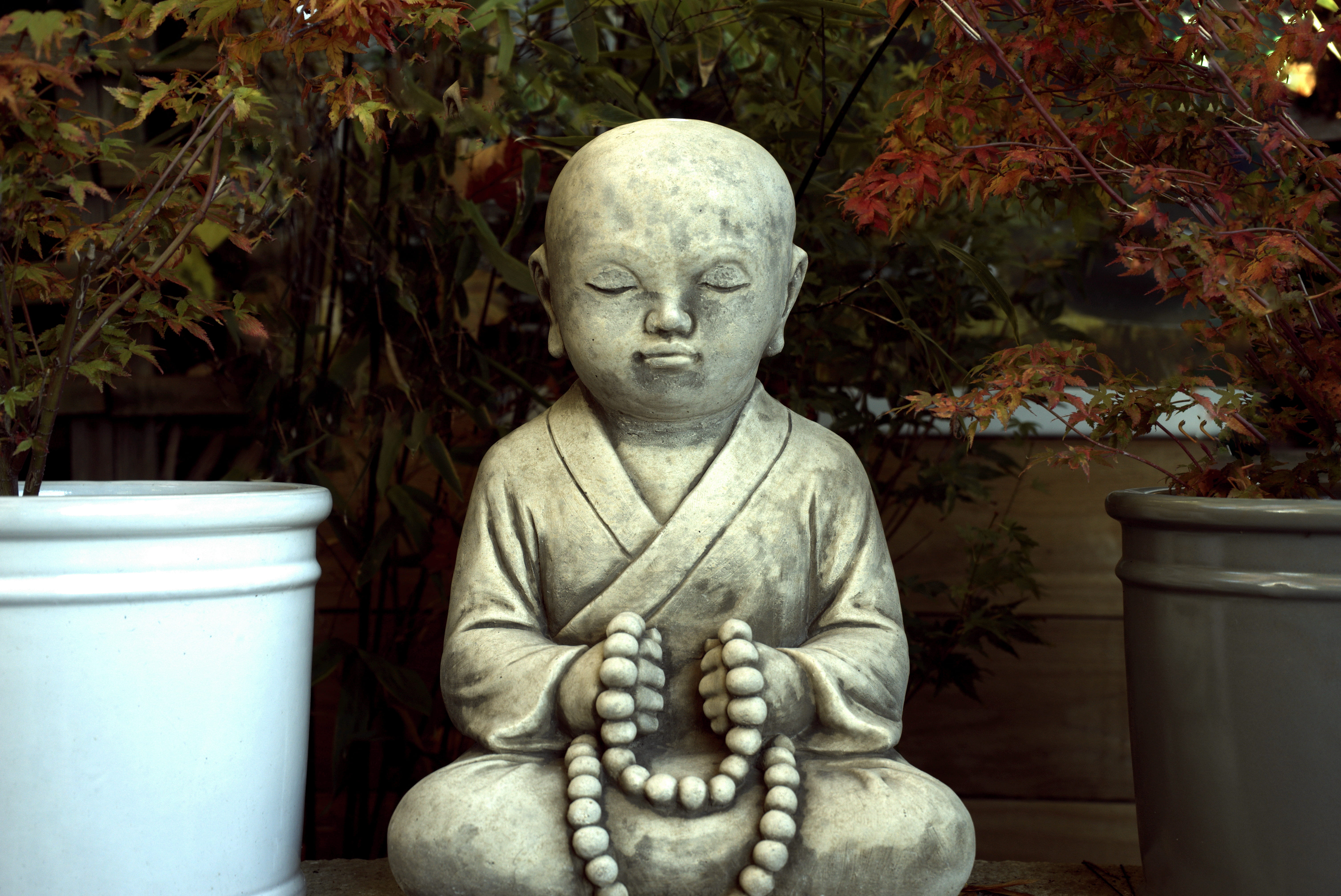 sitting, symbol, traditional, buddha, close-up, plants, religious, art and craft, front view, adult, belief, art, garden, religion, spirituality, peace, HD Wallpaper
