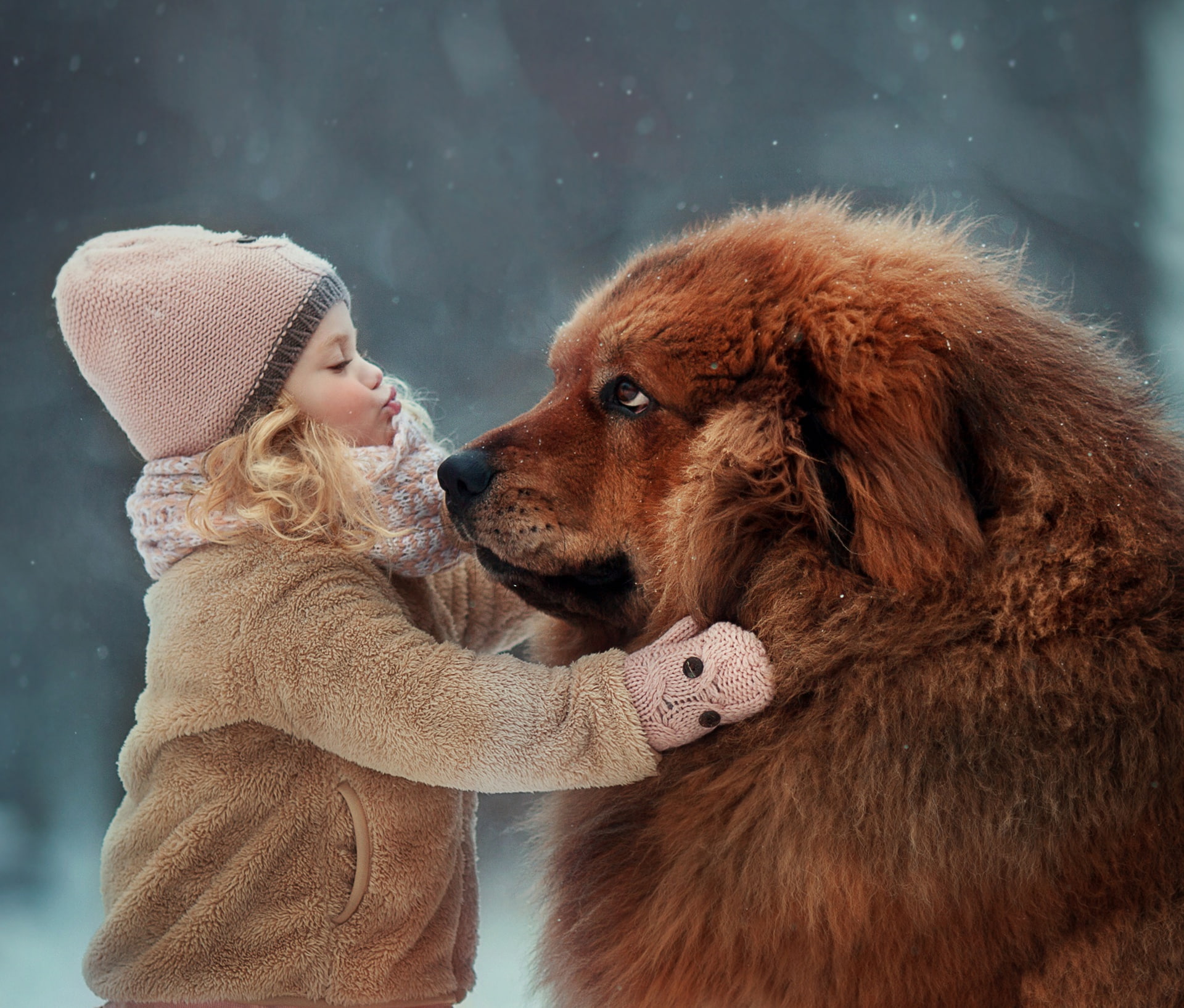 Tibetan Mastiff, mood, dog, friends, girl, 1080P, friendship, HD Wallpaper