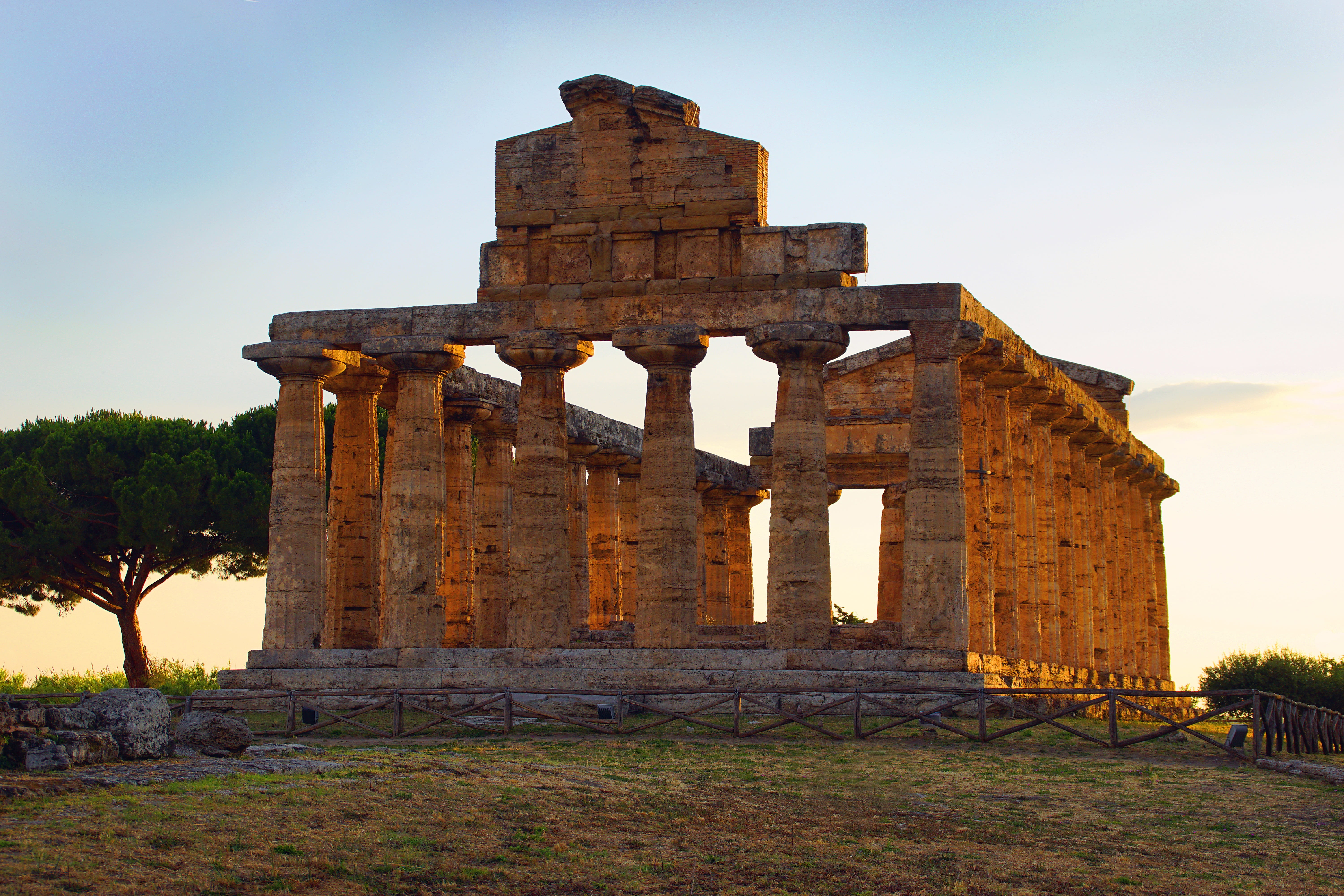 brown, ancient ruins, built structure, history, the past, tree, building exterior, paestum, archaeology, sky, damaged, columns, outdoors, religion, nature, HD Wallpaper
