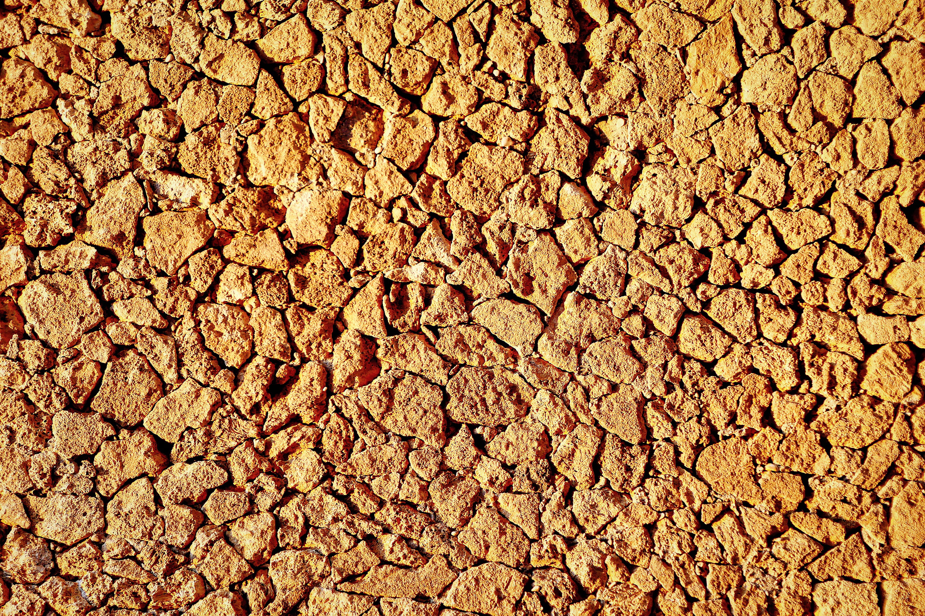 abundance, natural pattern, full frame, outdoors, paestum, rough, drought, land, nature, arid climate, food, brown, italy, directly above, breaking, backgrounds, HD Wallpaper