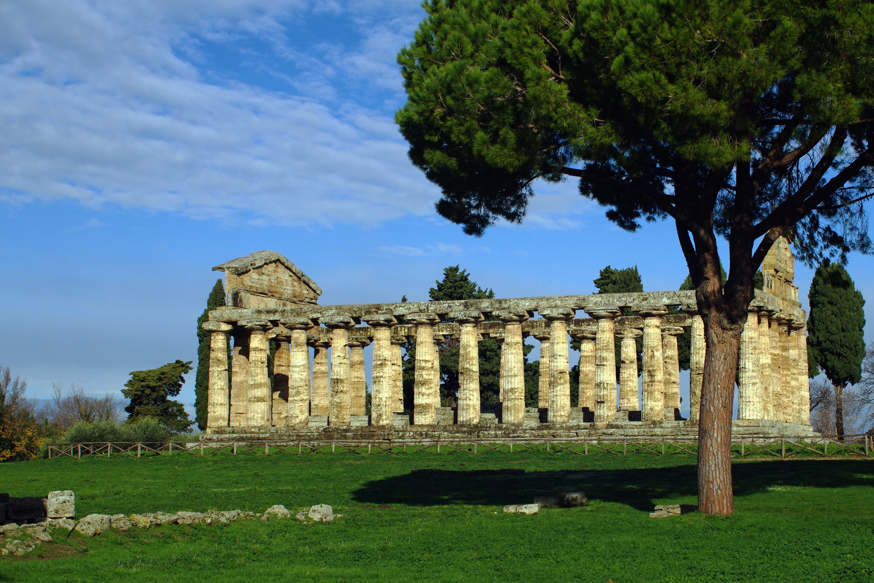 tree, ancient, ruined, day, grass, nature, architectural column, cloud - sky, doric style, ancient temple, plant, archaeology, sky, temple of athena, architecture, HD Wallpaper