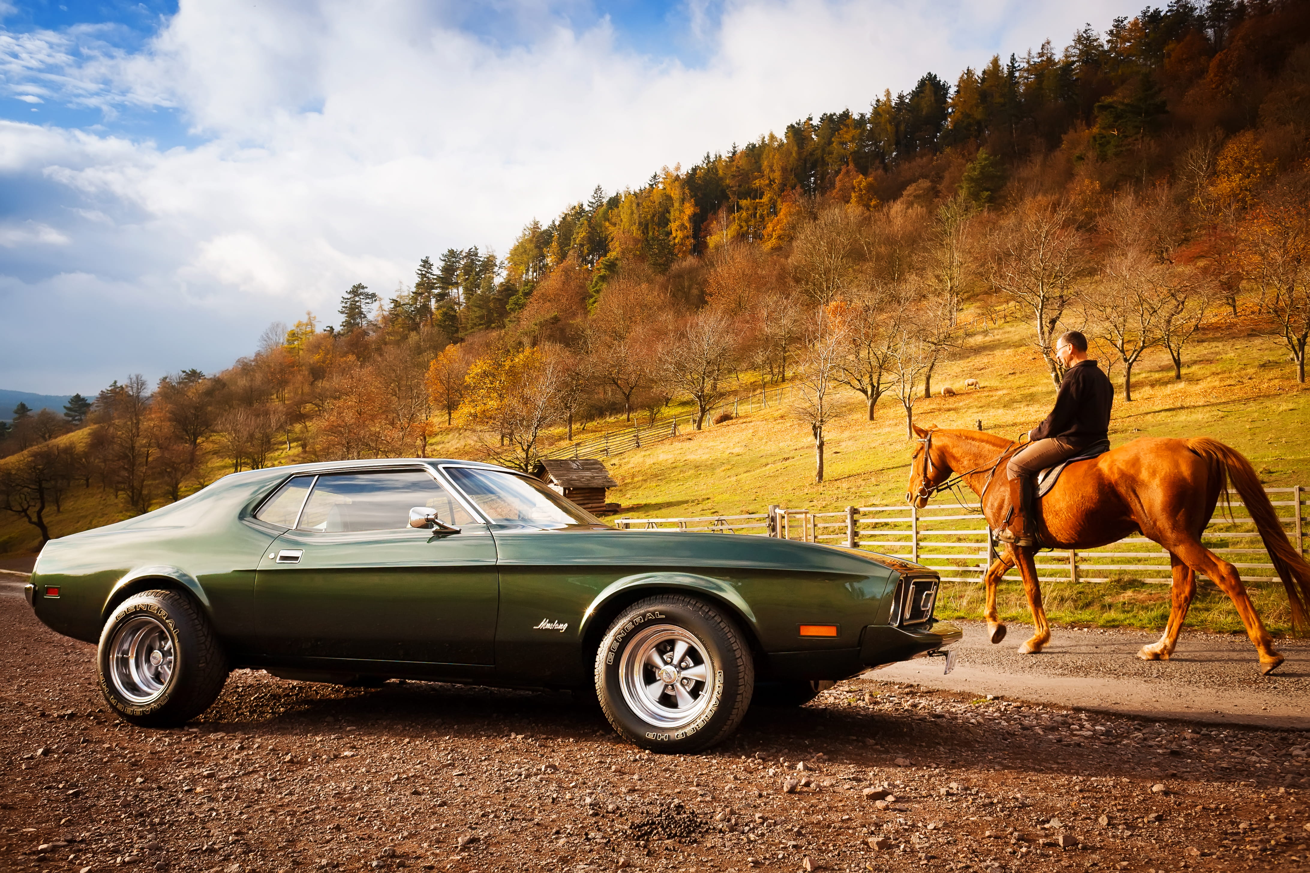 plant, transportation, tree, cloud - sky, livestock, motor vehicle, one animal, domestic animals, classics, muslecars, car, fordmustang, ford, mammal, land vehicle, HD Wallpaper
