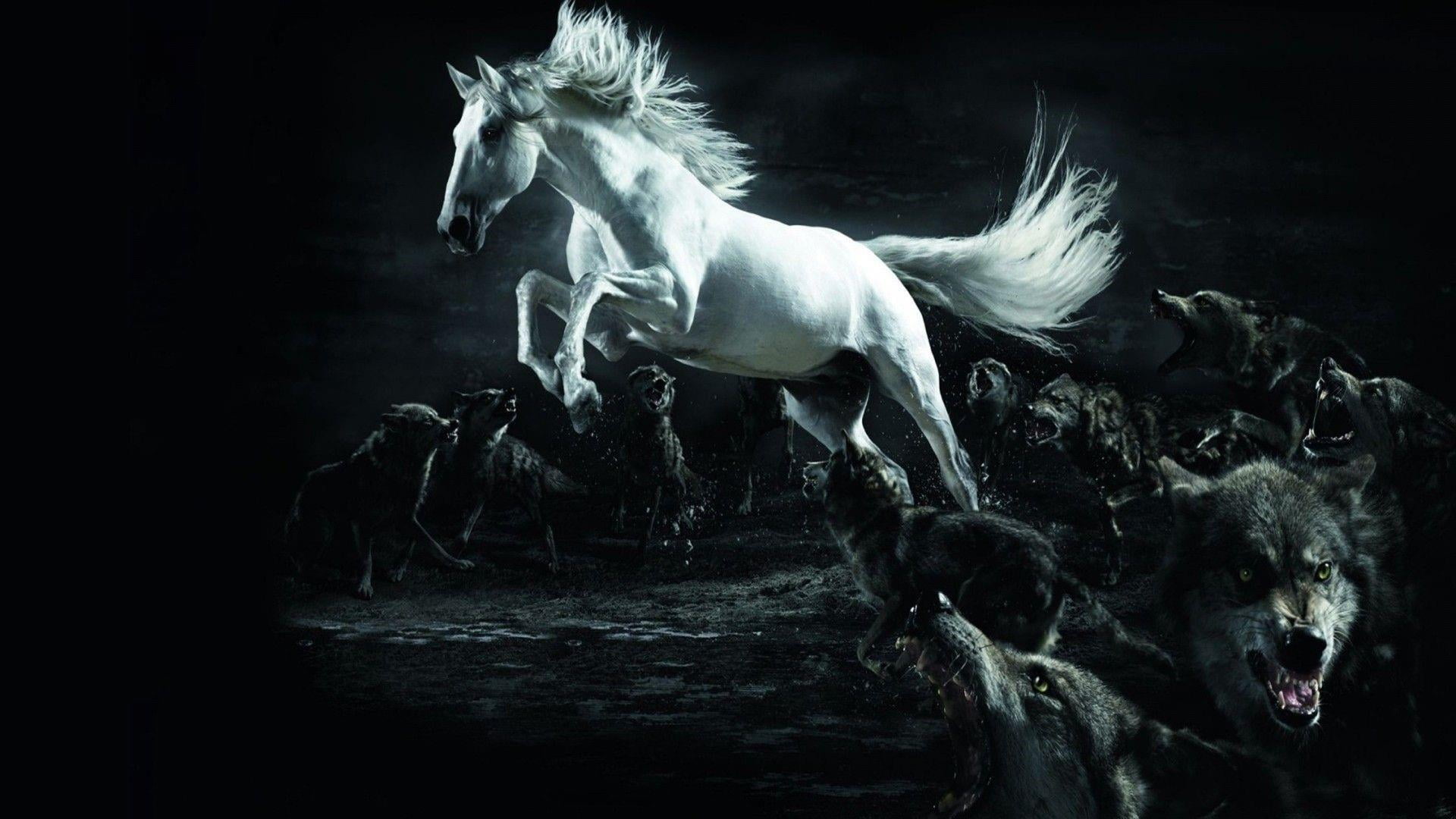 black and white, domestic, horse, livestock, motion, mythology, gray wolf, mustang, animal themes, nature, herbivorous, wildlife, outdoors, domestic animals, HD Wallpaper