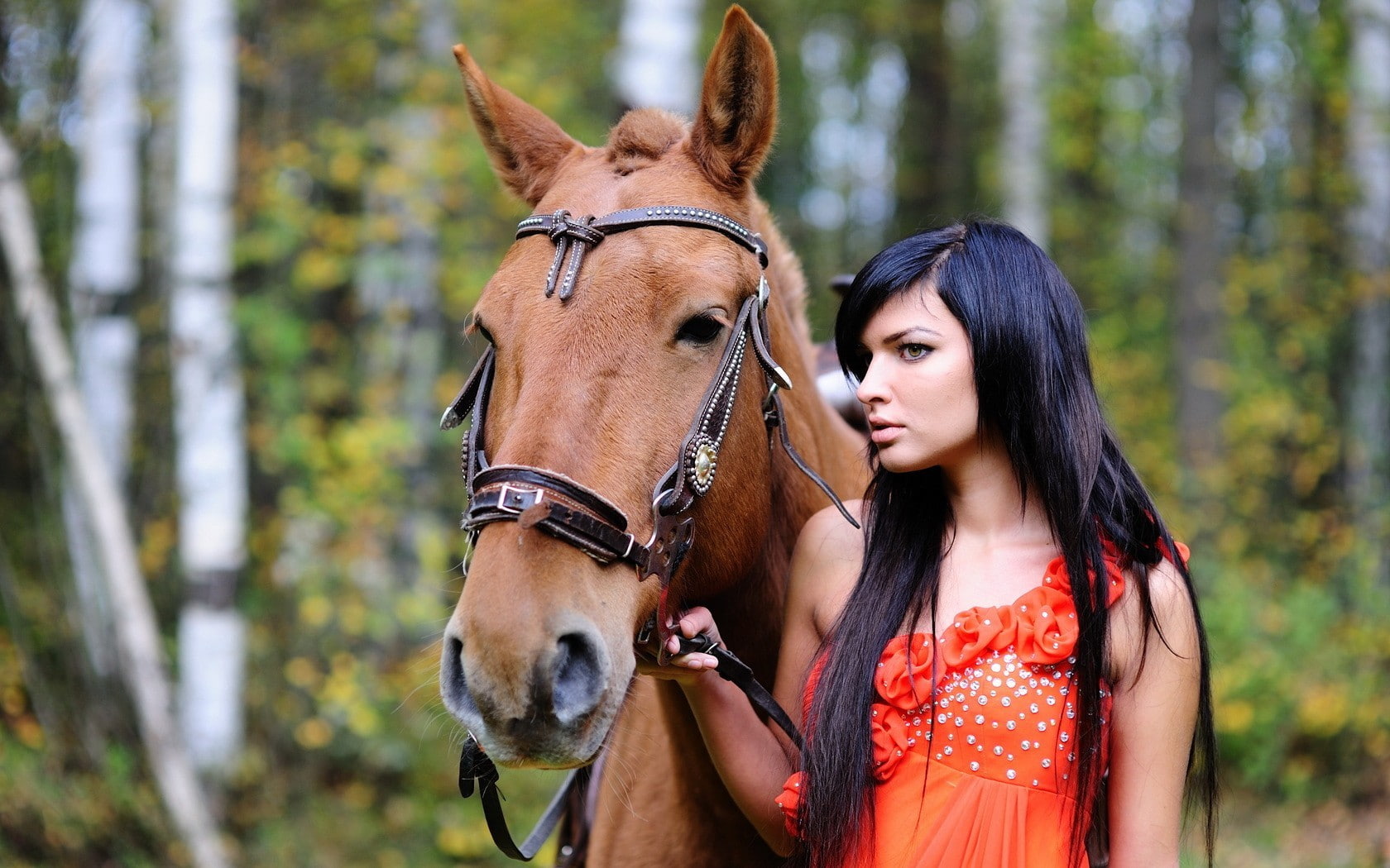 brunette, women outdoors, dark hair, animals, horse, 720P, HD Wallpaper