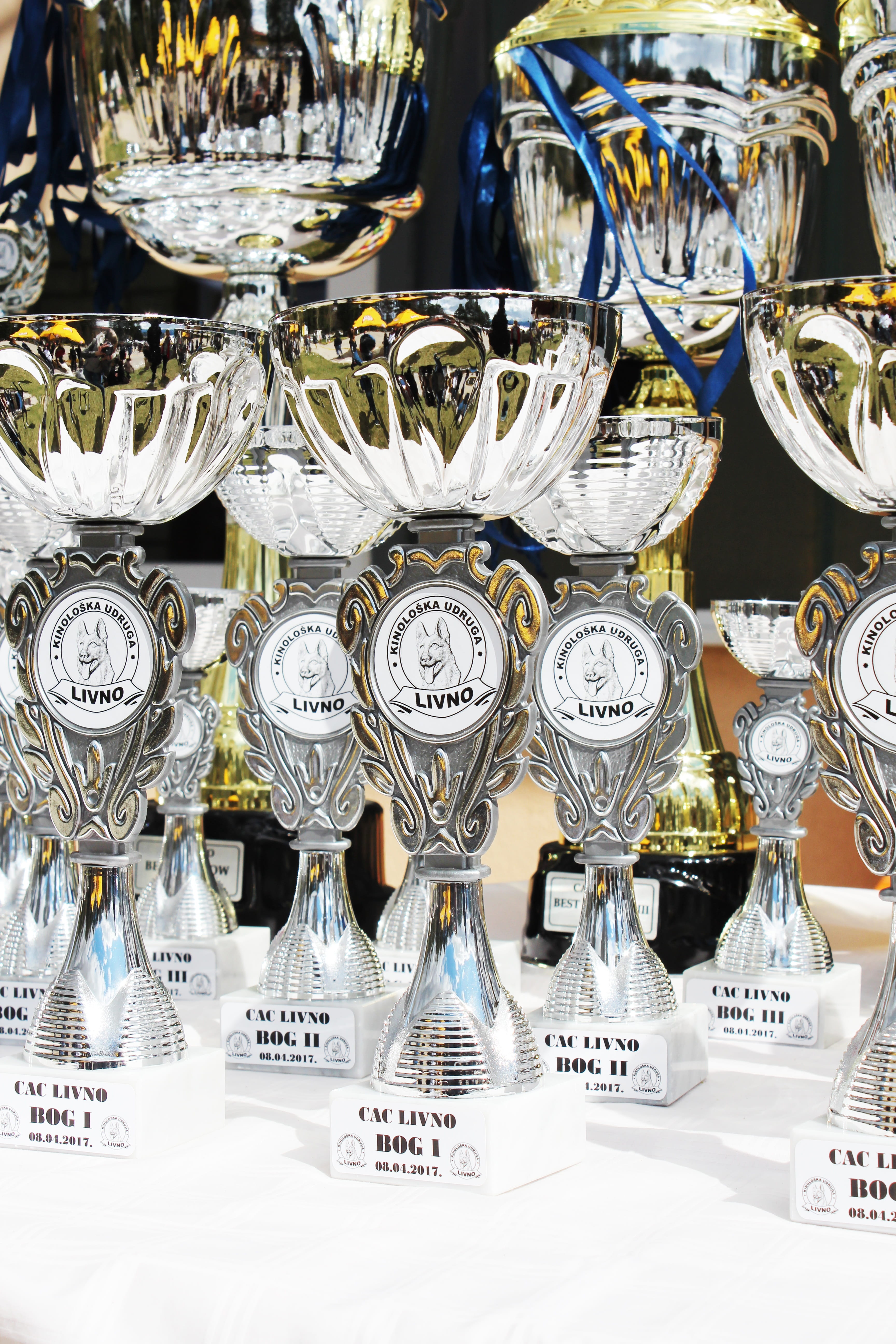 Trophies, no people, choice, bosnia and herzegovina, trophy, variation, transparent, glass - material, glass, arrangement, cup, close-up, retail, exhibition, Phone HD Wallpaper