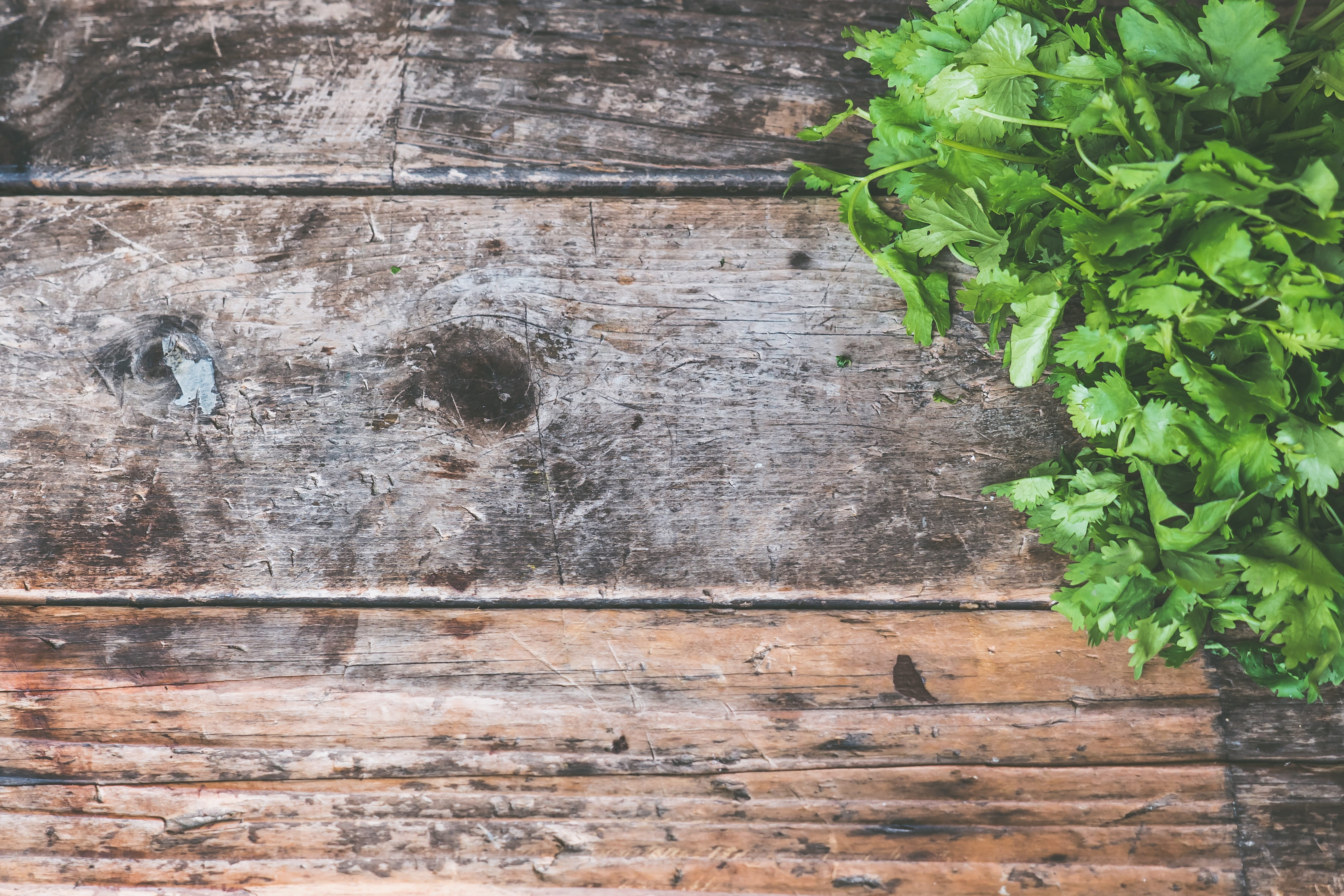 cook, built structure, eating, brown, growth, leaf, weathered, day, plank, board, 4K, salad, plant part, cilantro, outdoors, green, vegan, backgrounds, HD Wallpaper