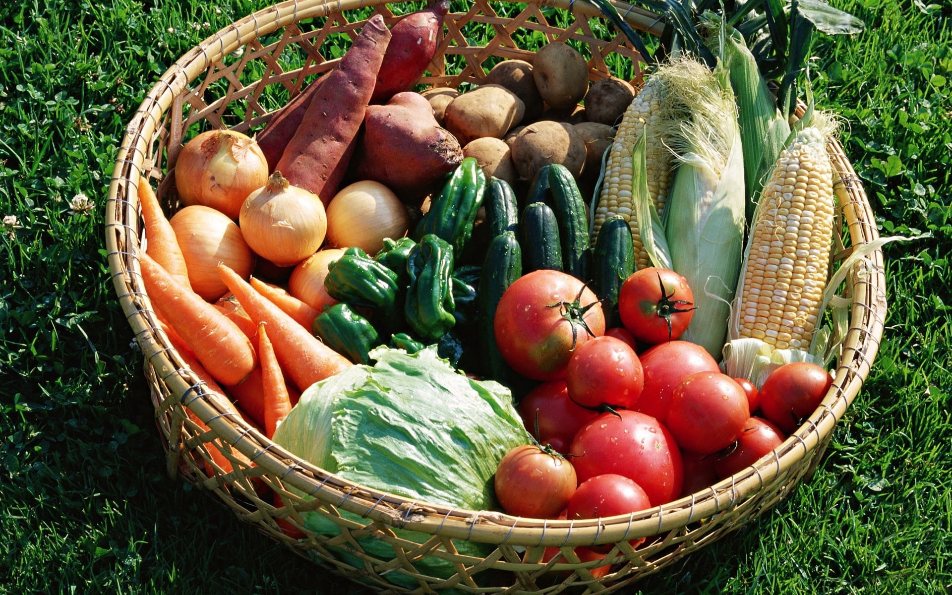 cabbage, harvesting, freshness, choice, nature, vegetables, green Color, lot, root vegetable, large group of objects, vegetarian Food, pepper, eggplant, HD Wallpaper