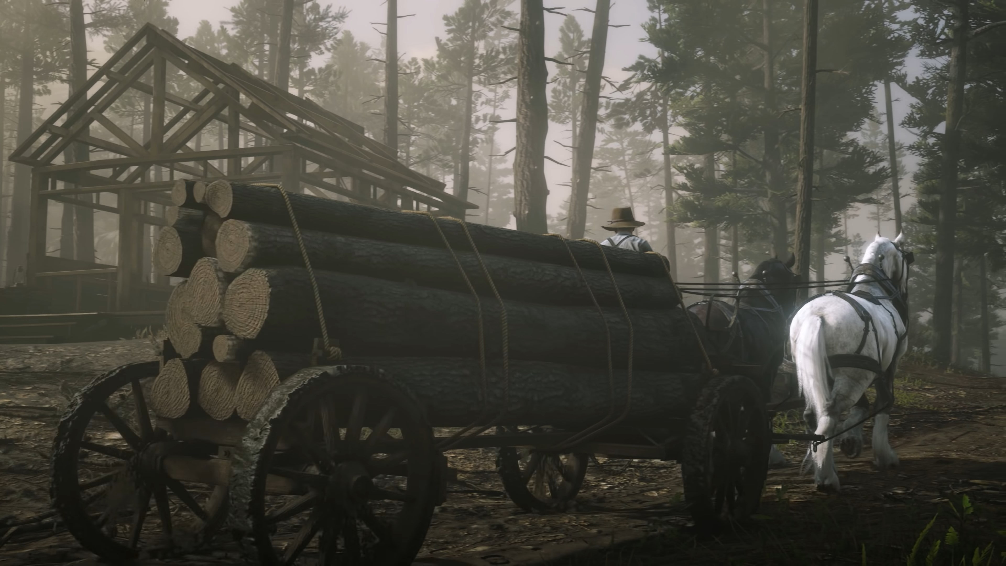 horsedrawn, horse, 4K, video games, transportation, pets, domestic animals, Rockstar Games, herbivorous, cart, mammal, wheel, mode of transportation, vertebrate, HD Wallpaper
