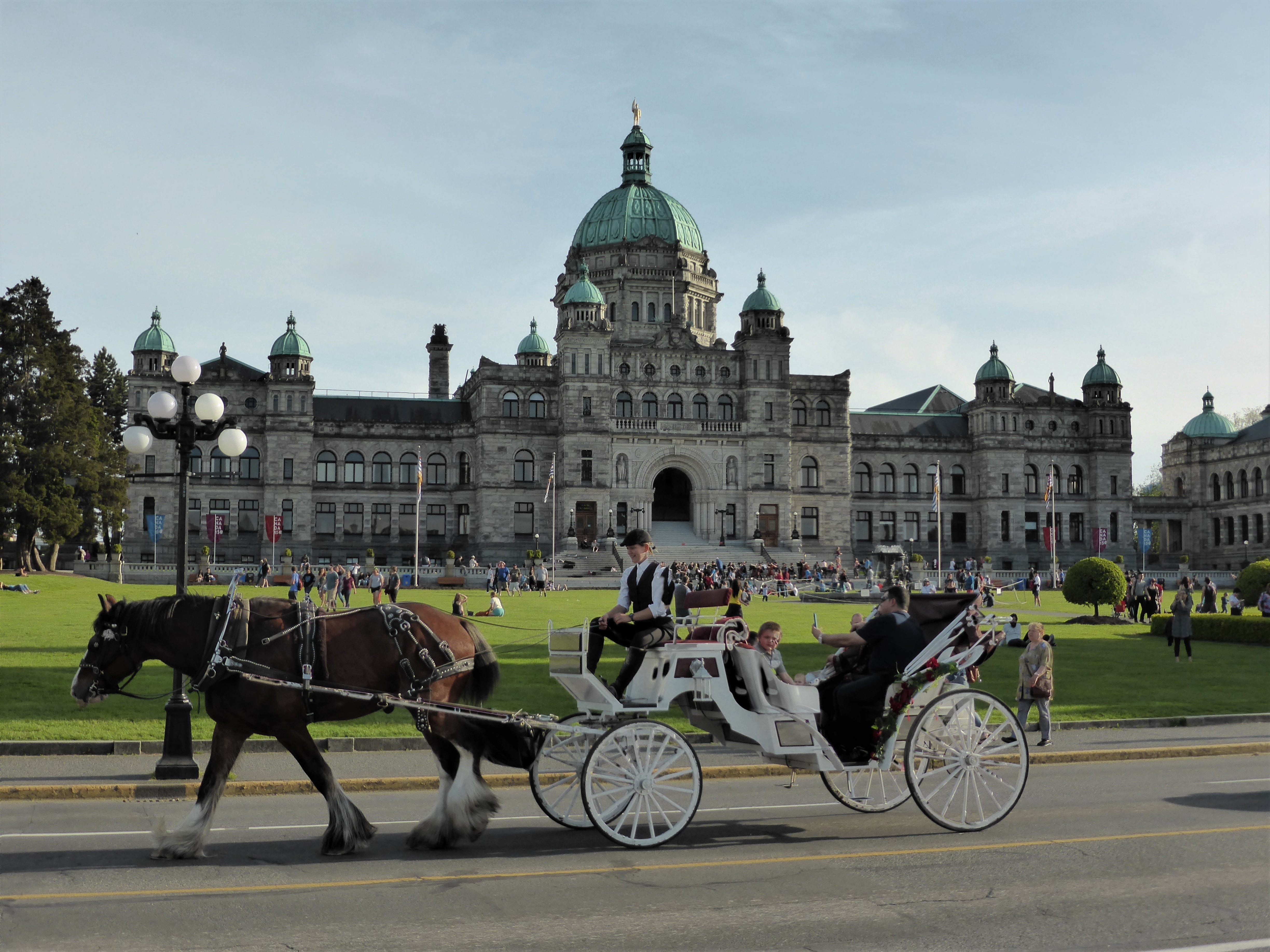 built structure, parliament building, horsedrawn, canada, victoria, domestic, 4K, travel, animal, transportation, tourism, coachman, horse, horse cart, HD Wallpaper