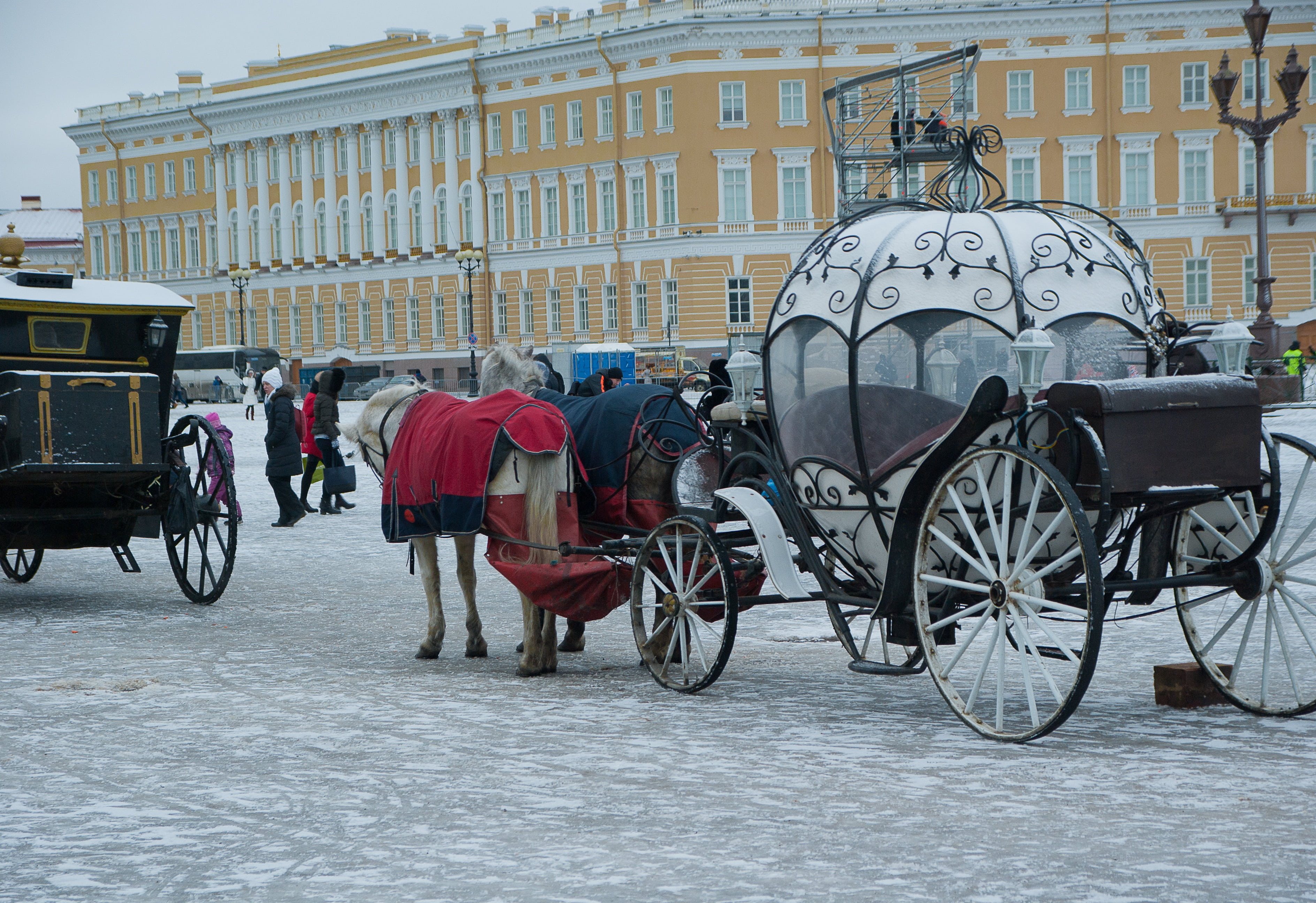 horsedrawn, animal wildlife, architecture, horse, domestic, working animal, no people, city, palace square, building exterior, street, built structure, HD Wallpaper