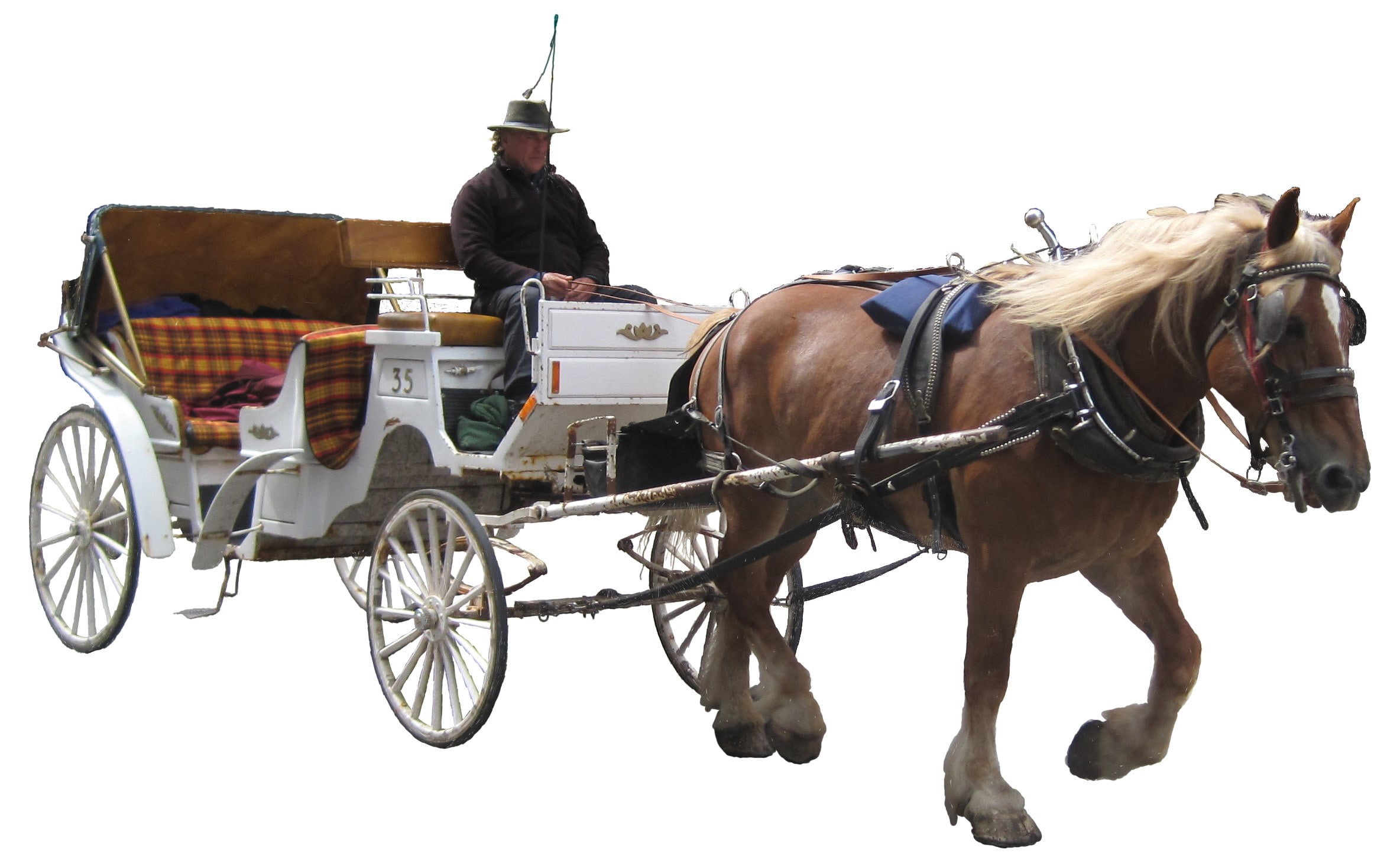 transportation, domestic, one animal, animal, animal wildlife, working animal, herbivorous, 1080P, horse, cart, domestic animals, animal themes, one person, HD Wallpaper