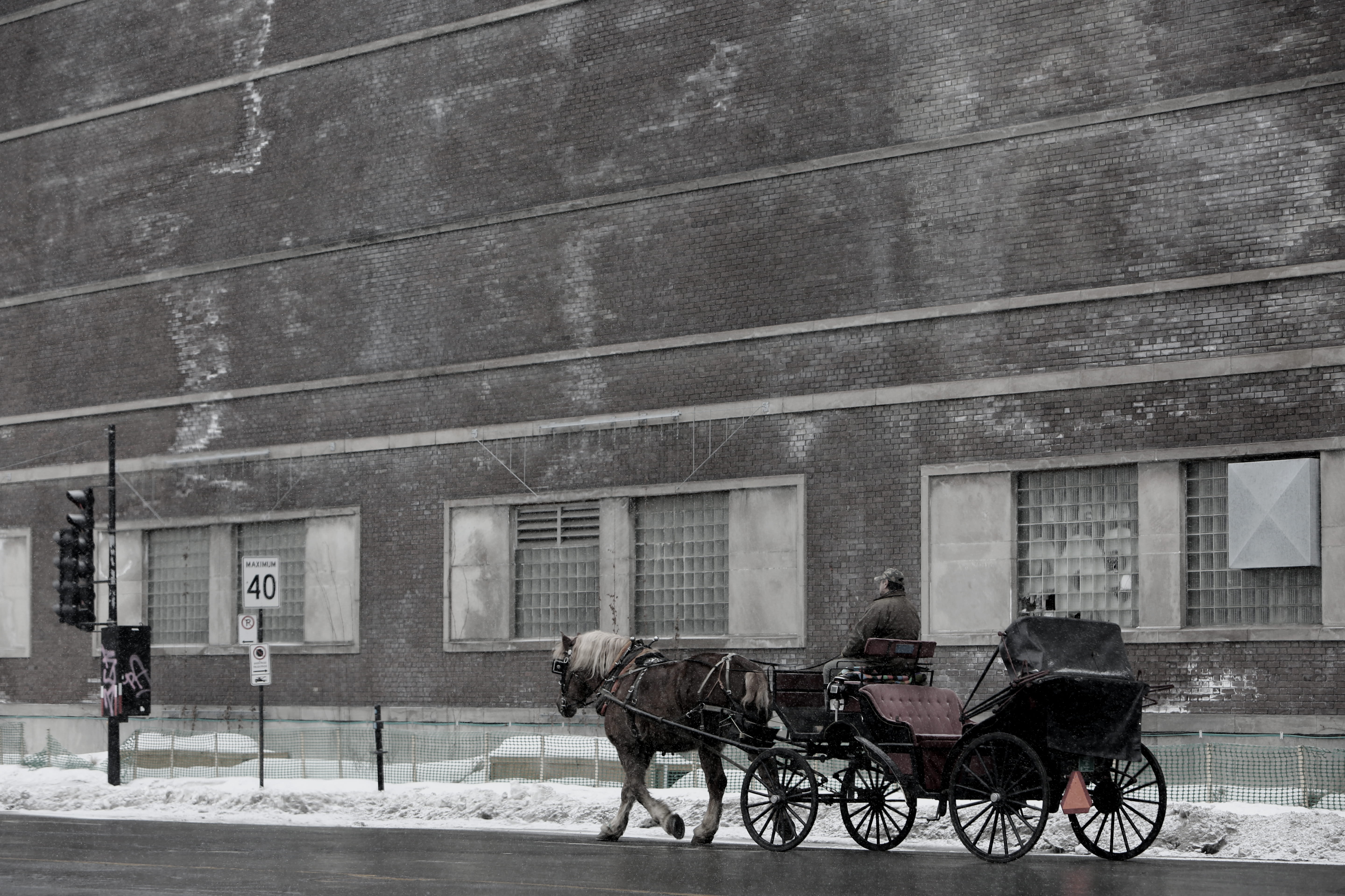 horse, architecture, building exterior, mode of transportation, man, built structure, horsedrawn, 5K, carriage, outdoors, herbivorous, animal themes, street, HD Wallpaper