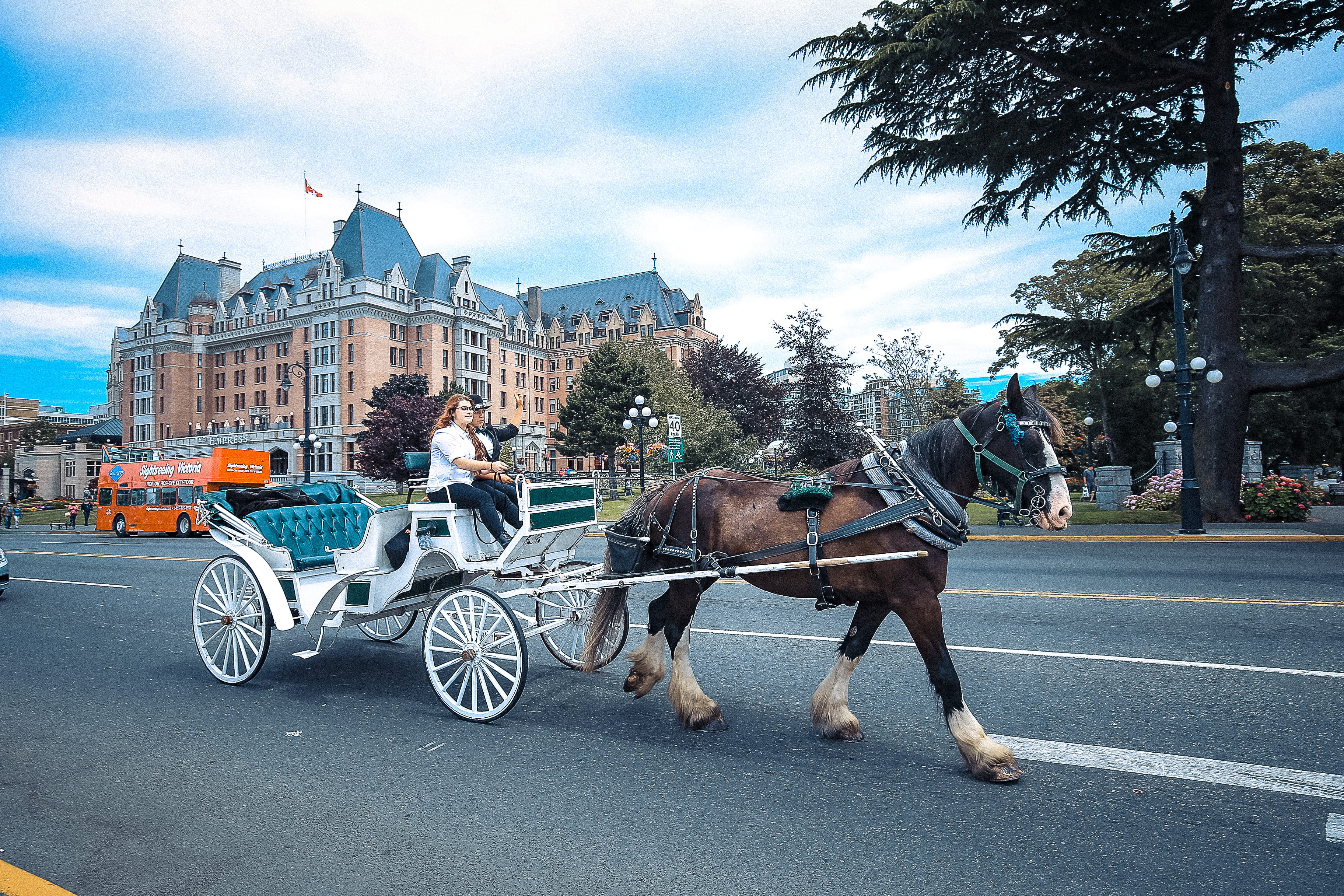 vertebrate, herbivorous, bc, mode of transportation, animal, horse-drawn vehicles, animal themes, transportation, outdoors, working animal, sky, riding, HD Wallpaper