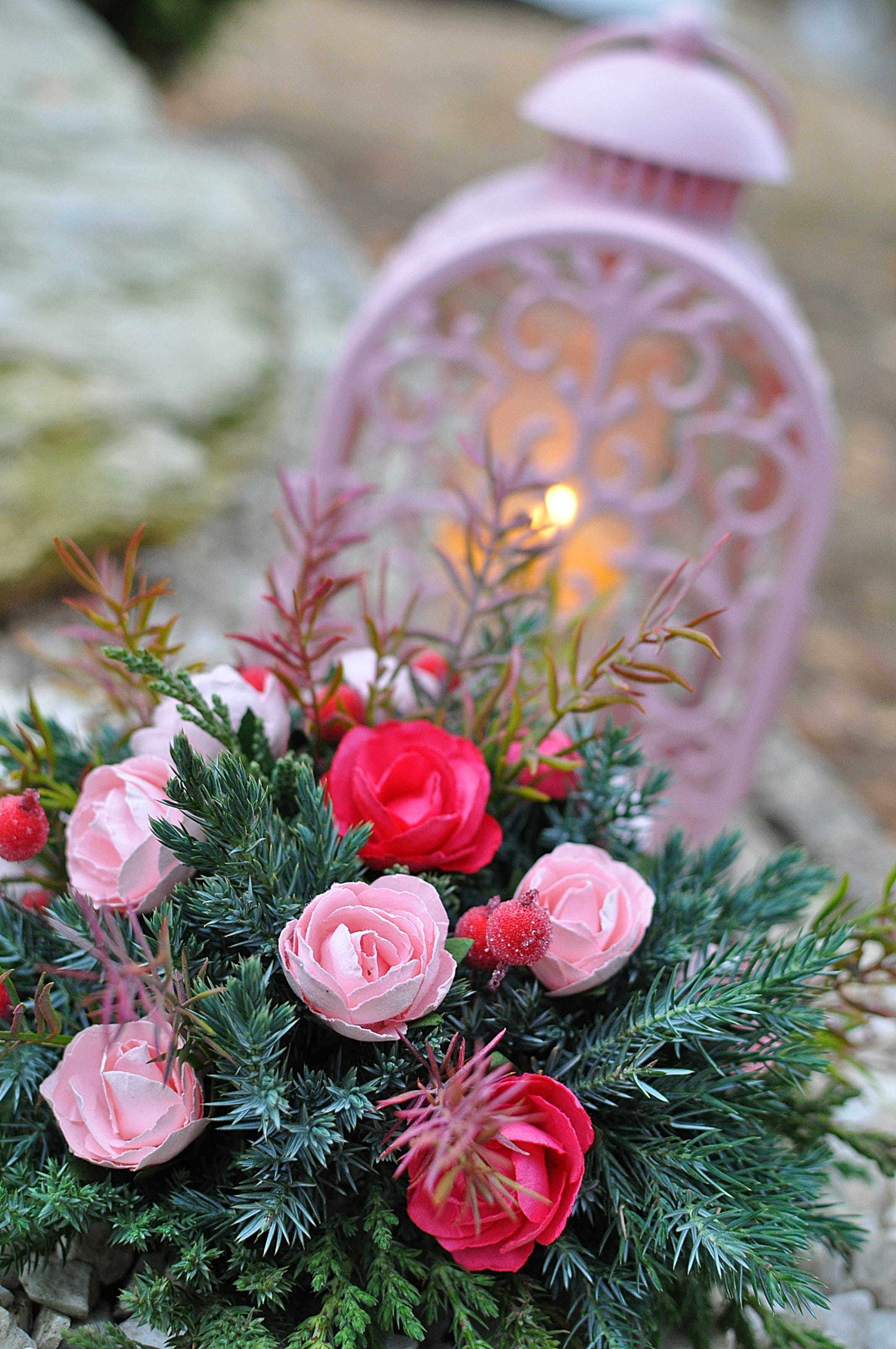 Roses, pink color, no people, close-up, beauty in nature, tradition, freshness, christmas tree, decoration, flowering plant, flower head, focus on foreground, Phone HD Wallpaper