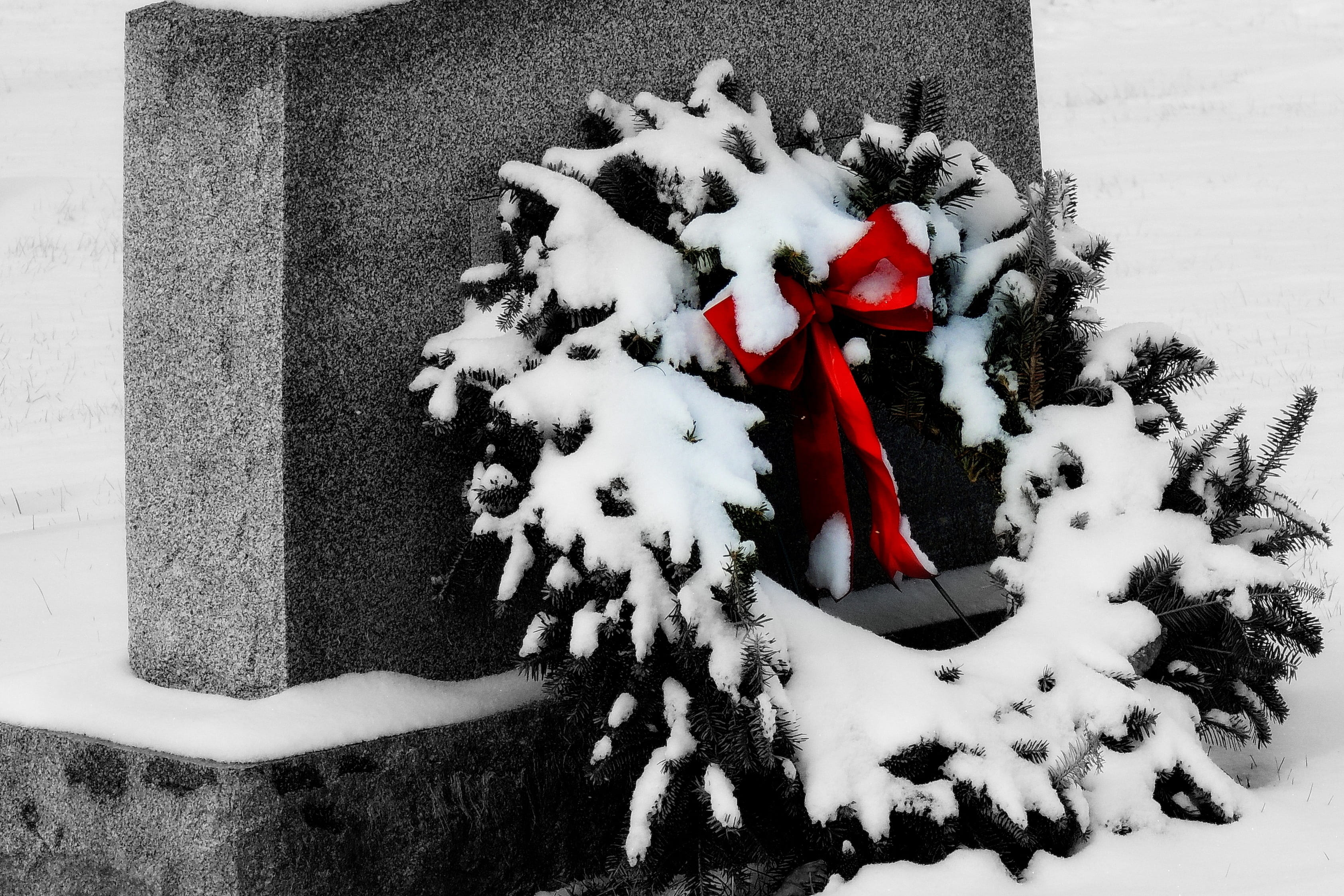 snow, christmas, nature, memory, tree, symbol, covering, stone, december, rip, evergreen, day, representation, cold temperature, white color, monument, HD Wallpaper