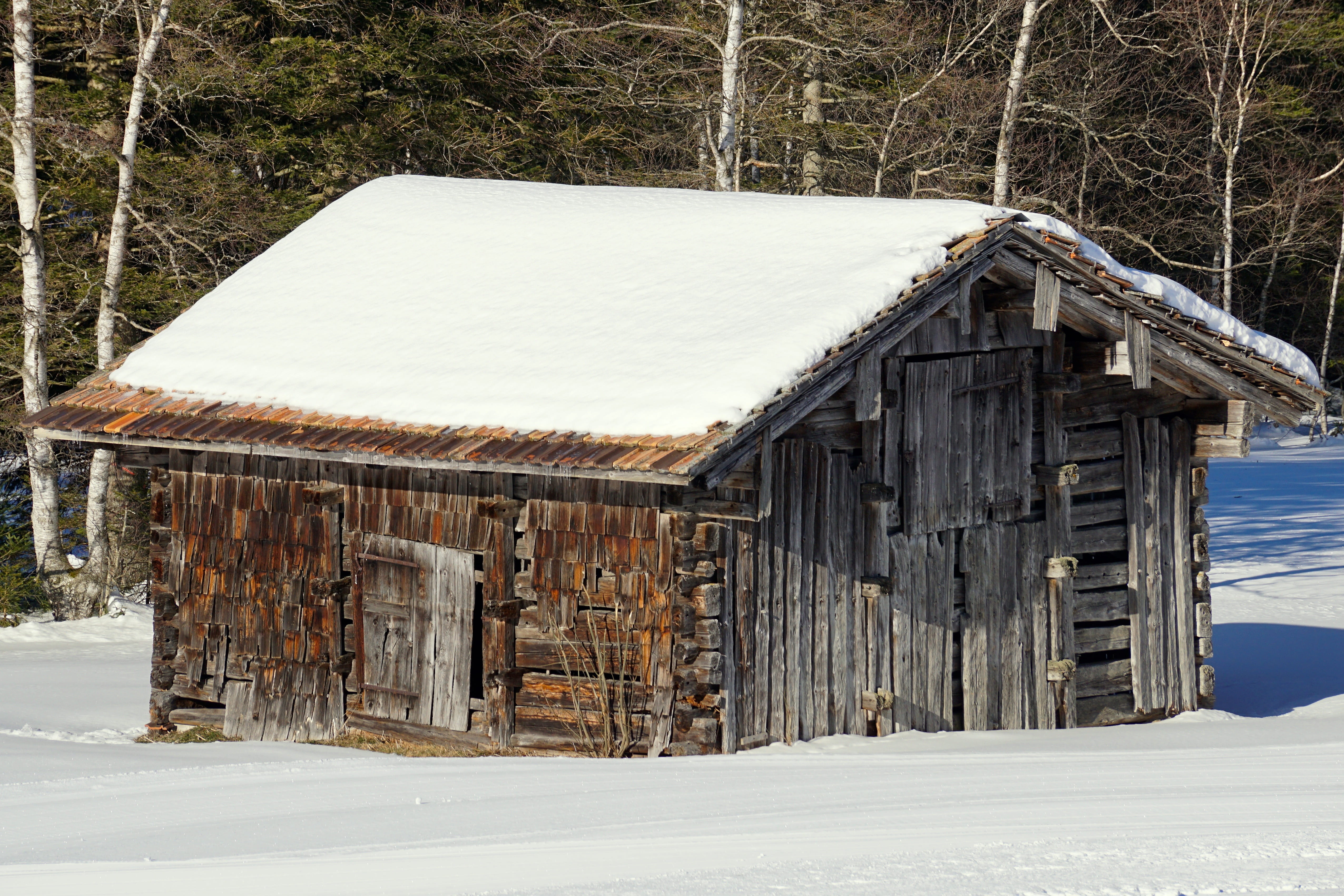 cabin, trees, hispanic, house, landscape, land, built structure, day, white color, shadow play, nature, tree, Winter, rural Scene, architecture, sunlight, HD Wallpaper