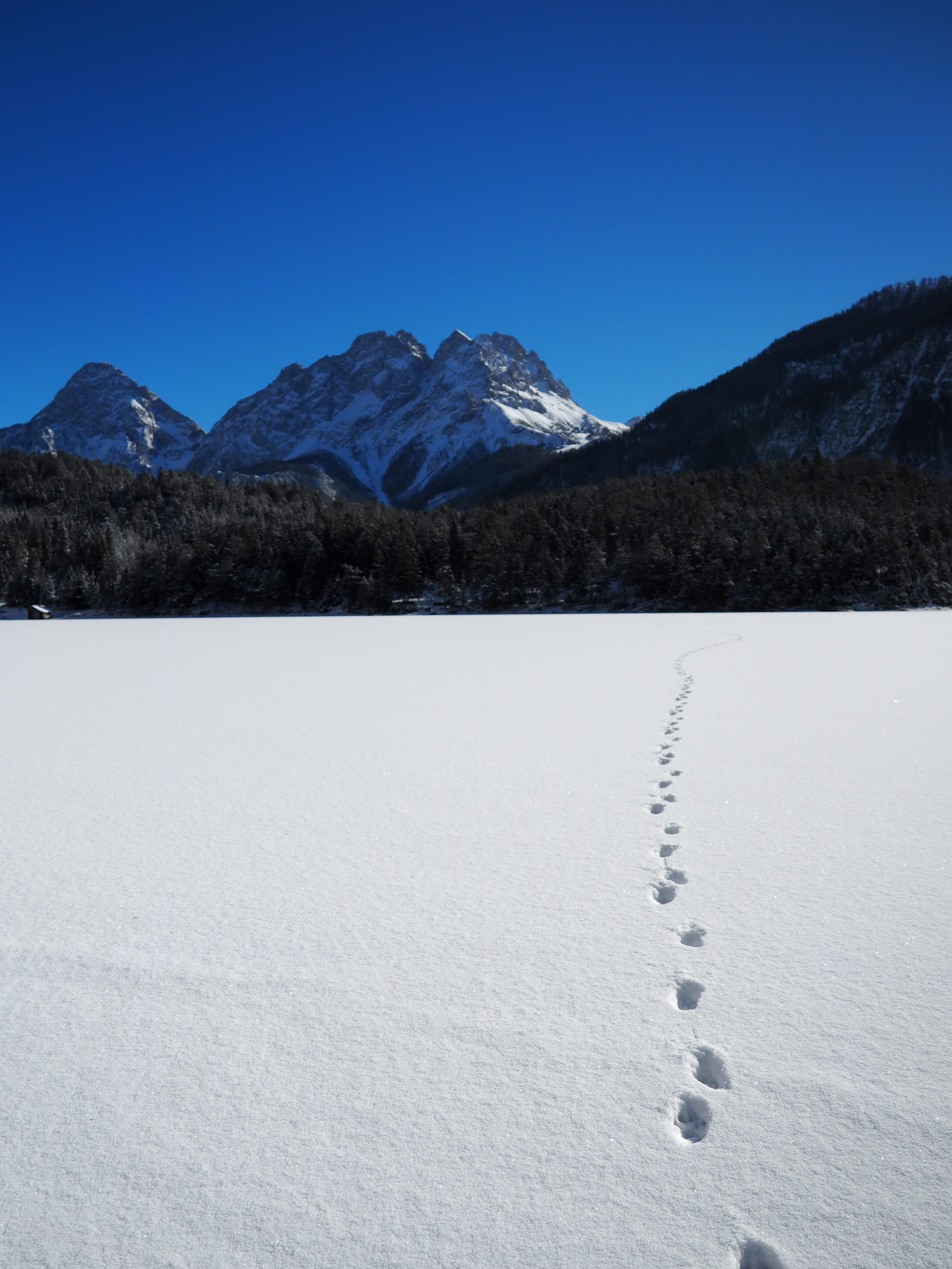 mountain peak, lake, tracks in the snow, deep snow, scenics - nature, snowcapped mountain, blue, rest, no people, park, tranquility, walden, austria, 4K, Phone HD Wallpaper