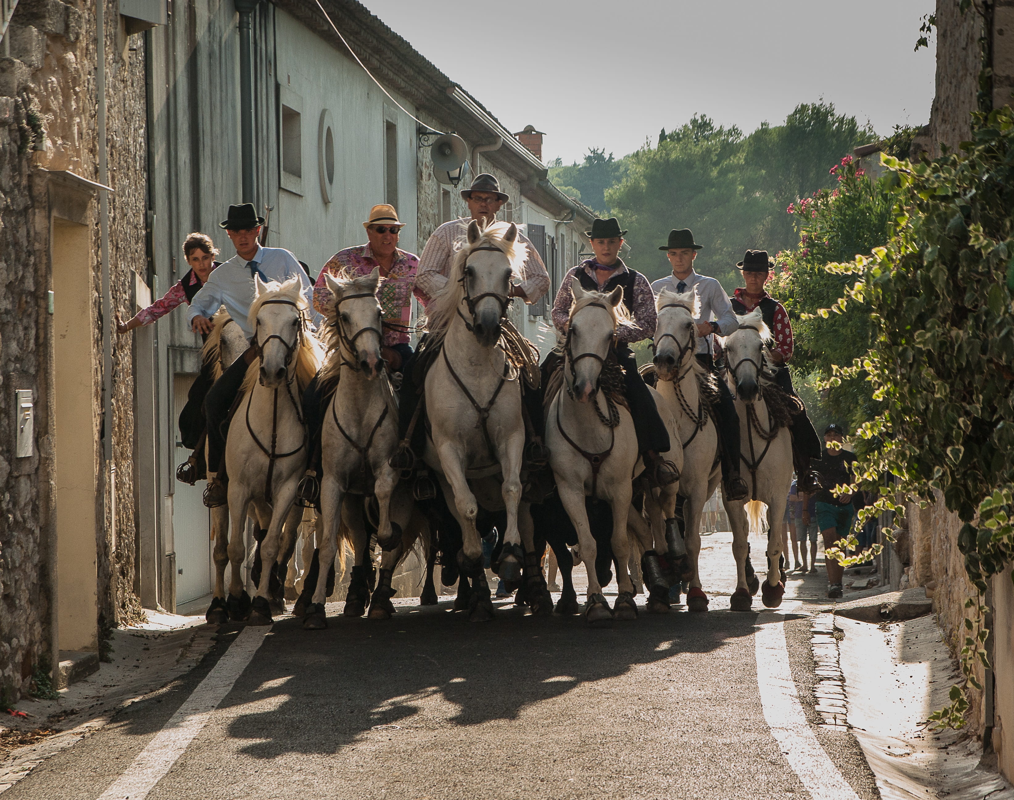 alley, domestic animals, camargue, group of animals, 2K, grey, outdoors, military, group of people, daytime, nature, feria, men, livestock, architecture, HD Wallpaper