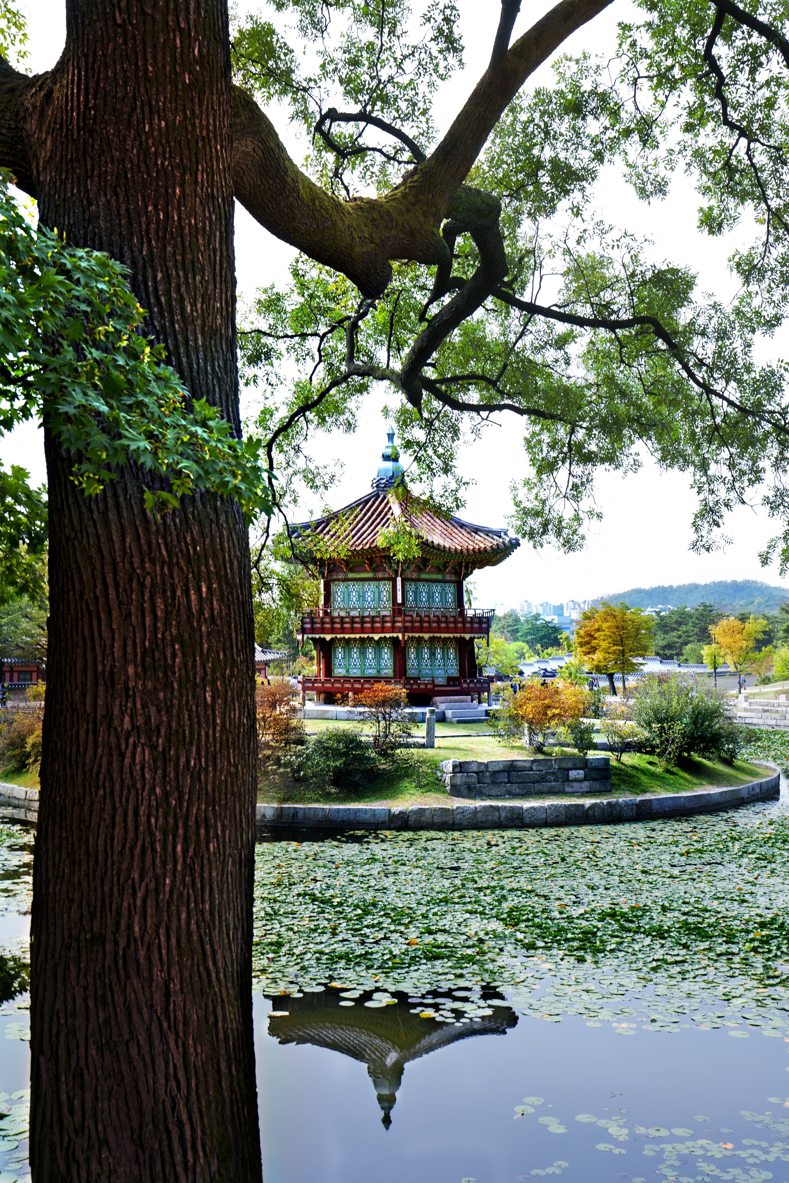 landscape, no people, lake, joseon, asia, architecture, religion, built structure, tree trunk, building exterior, outdoors, reflection, palace, water, scenic, Phone HD Wallpaper