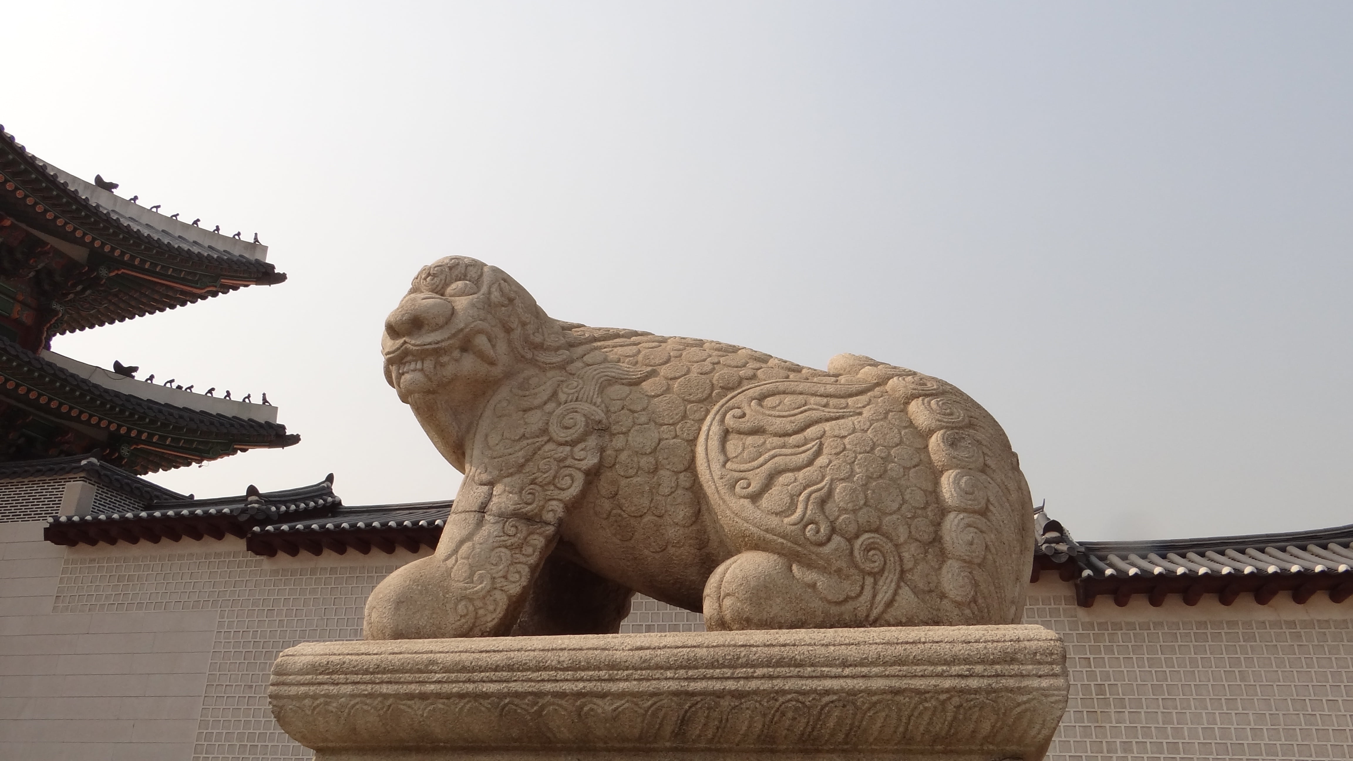 representation, 4K, haitai entrance of kyng-bokkung, art and craft, built structure, religion, the past, craft, belief, stone statue, lion - feline, sculpture, HD Wallpaper