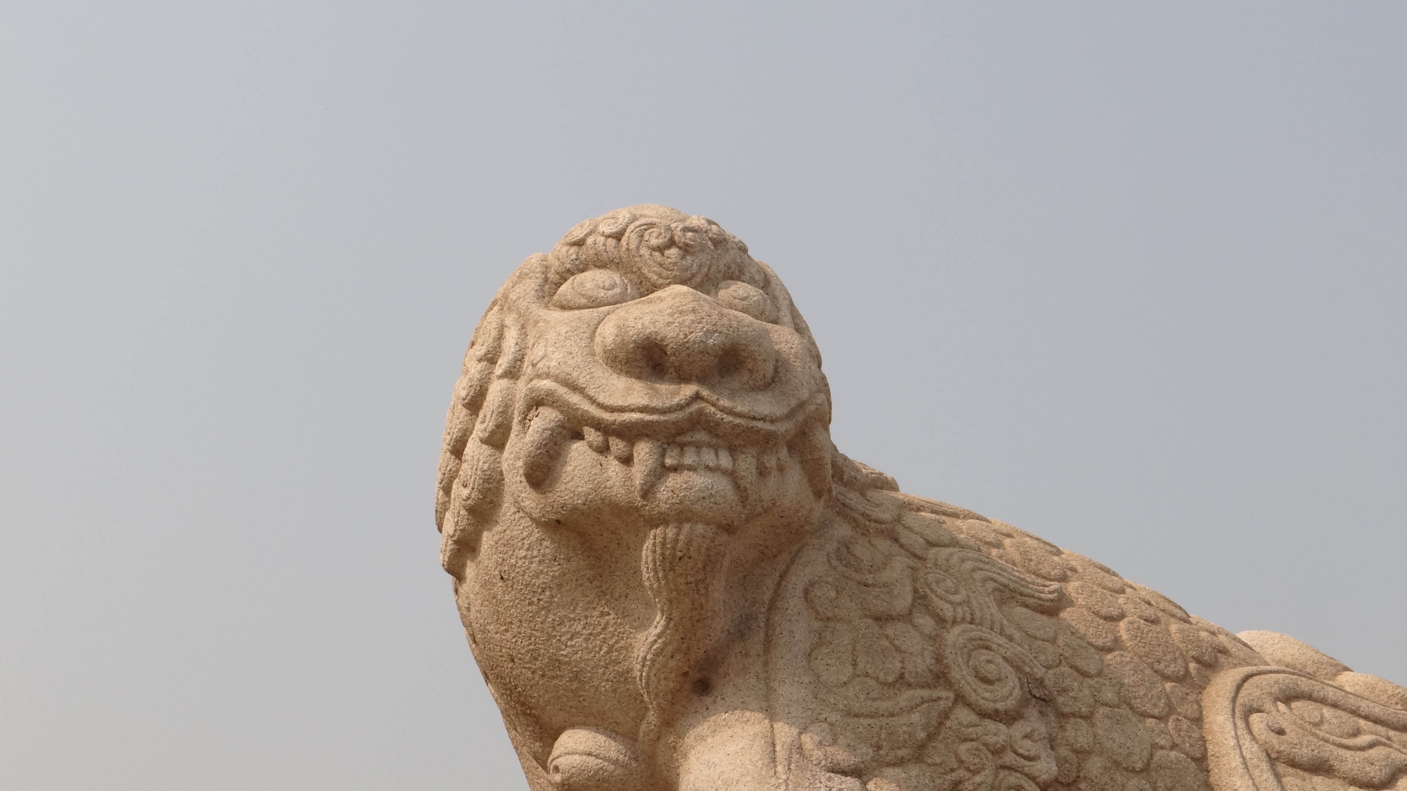 haitai entrance of kyng-bokkung, haitai gargoyle, the past, copy space, statue, sculpture, haitai, 4K, art and craft, animal, animal themes, animal wildlife, HD Wallpaper