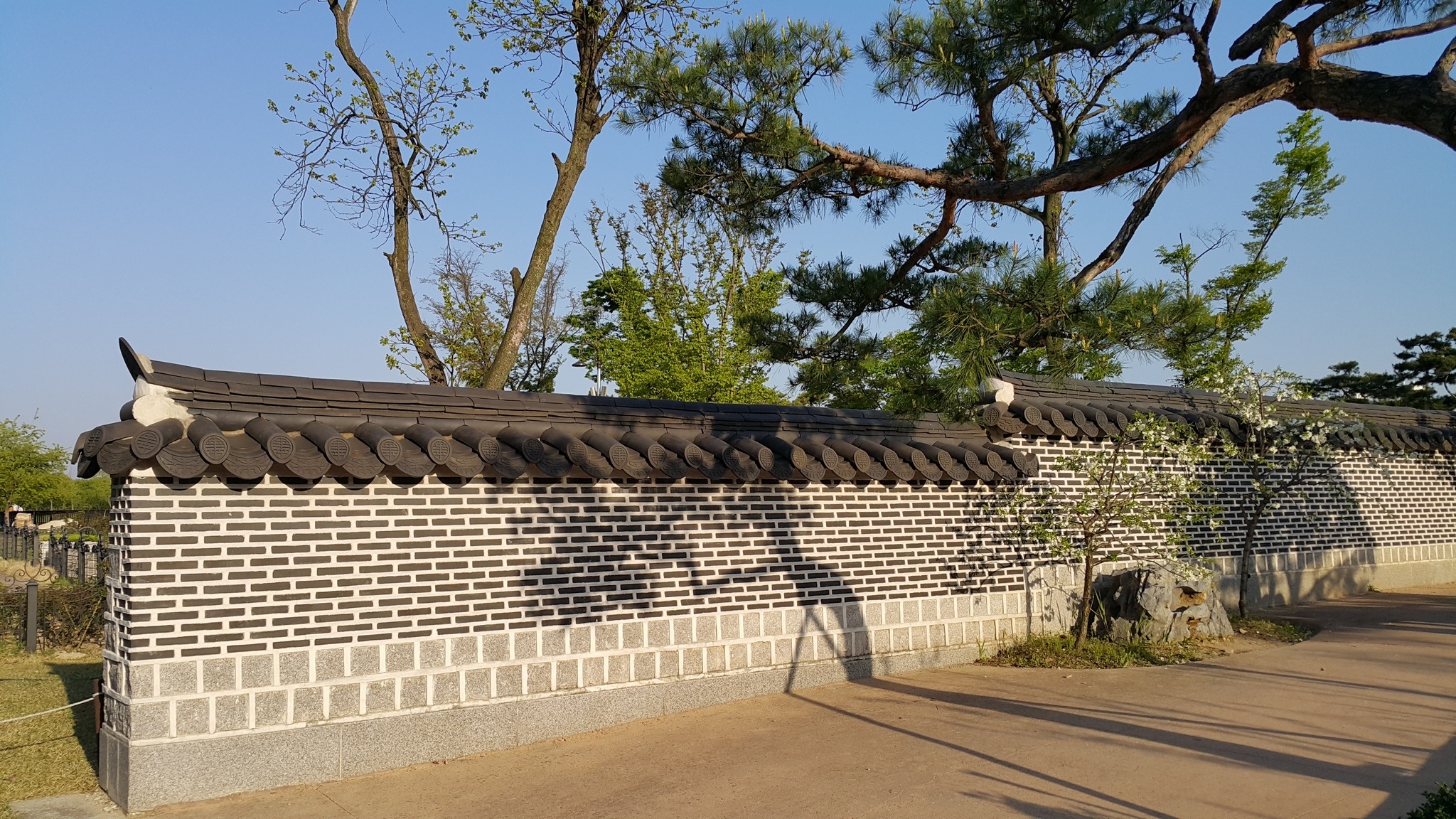 traditional, domestic, no people, sky, roof tile, 1080P, plant, architecture, old school, mammal, pine, nature, forbidden city, animal, sunlight, pets, HD Wallpaper