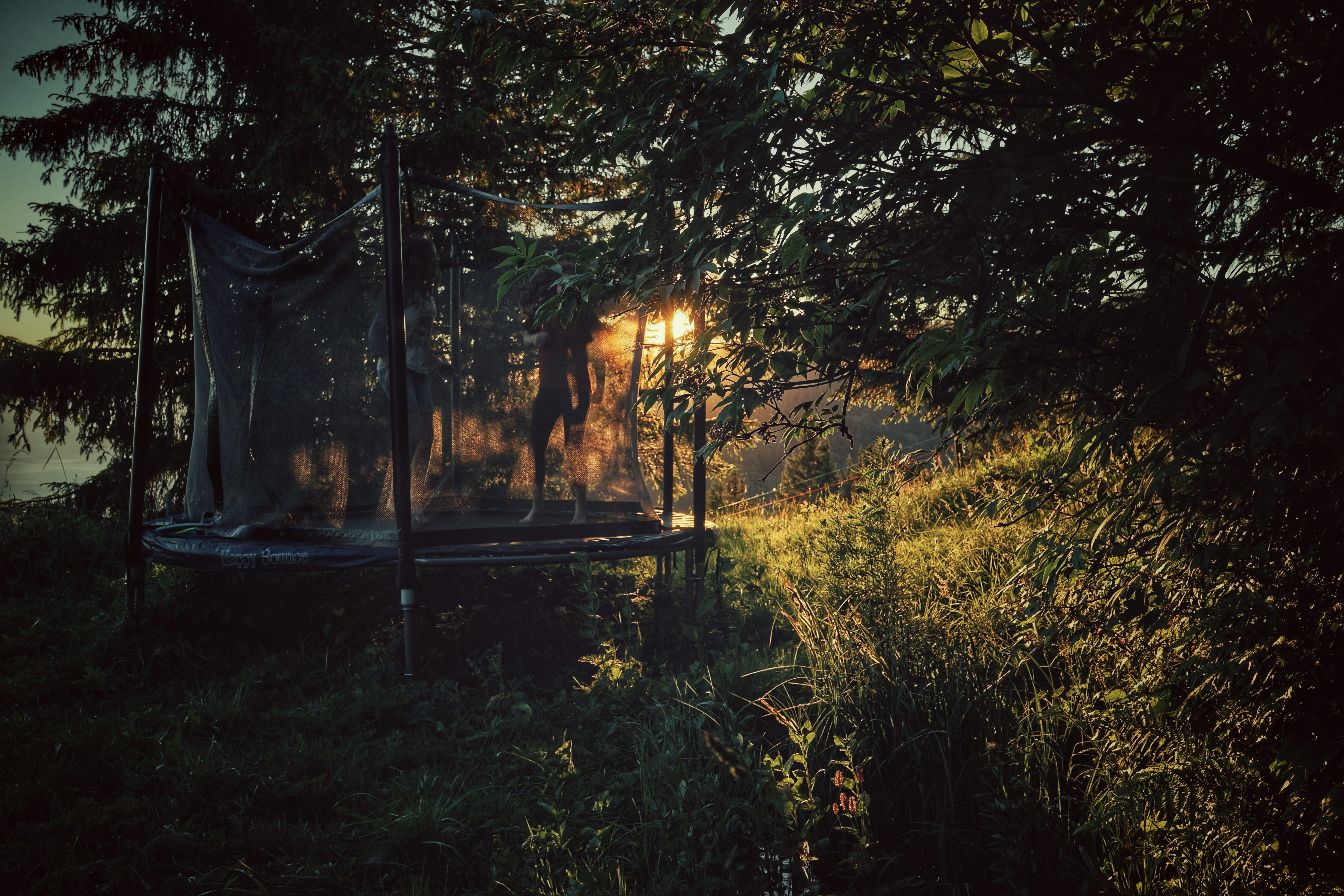 sunlight, trunk, tranquil scene, tranquility, nature, 5K, land, no people, abandoned, scenics - nature, switzerland, non-urban scene, plant, outdoors, HD Wallpaper