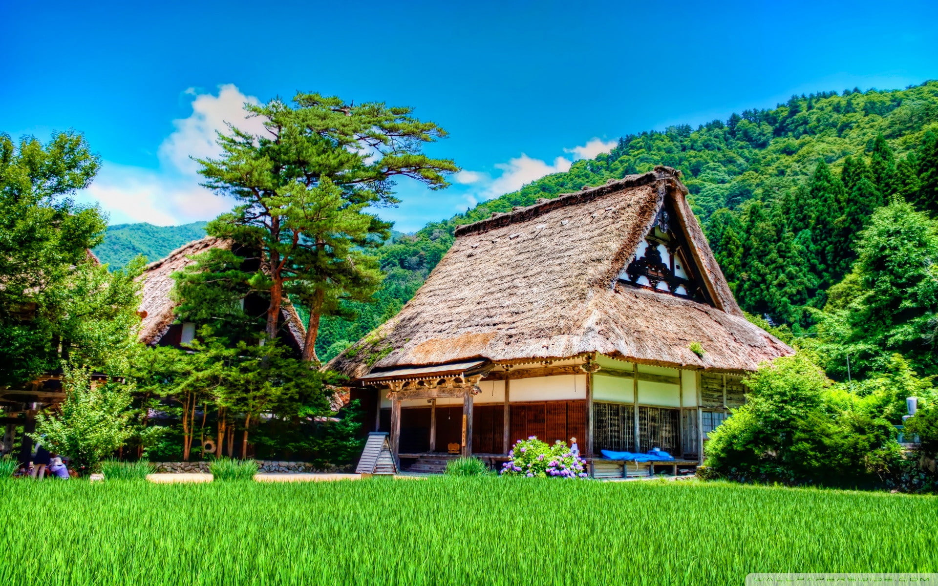 1920x1200, house, nature, 1080P, shirakawago, HD Wallpaper