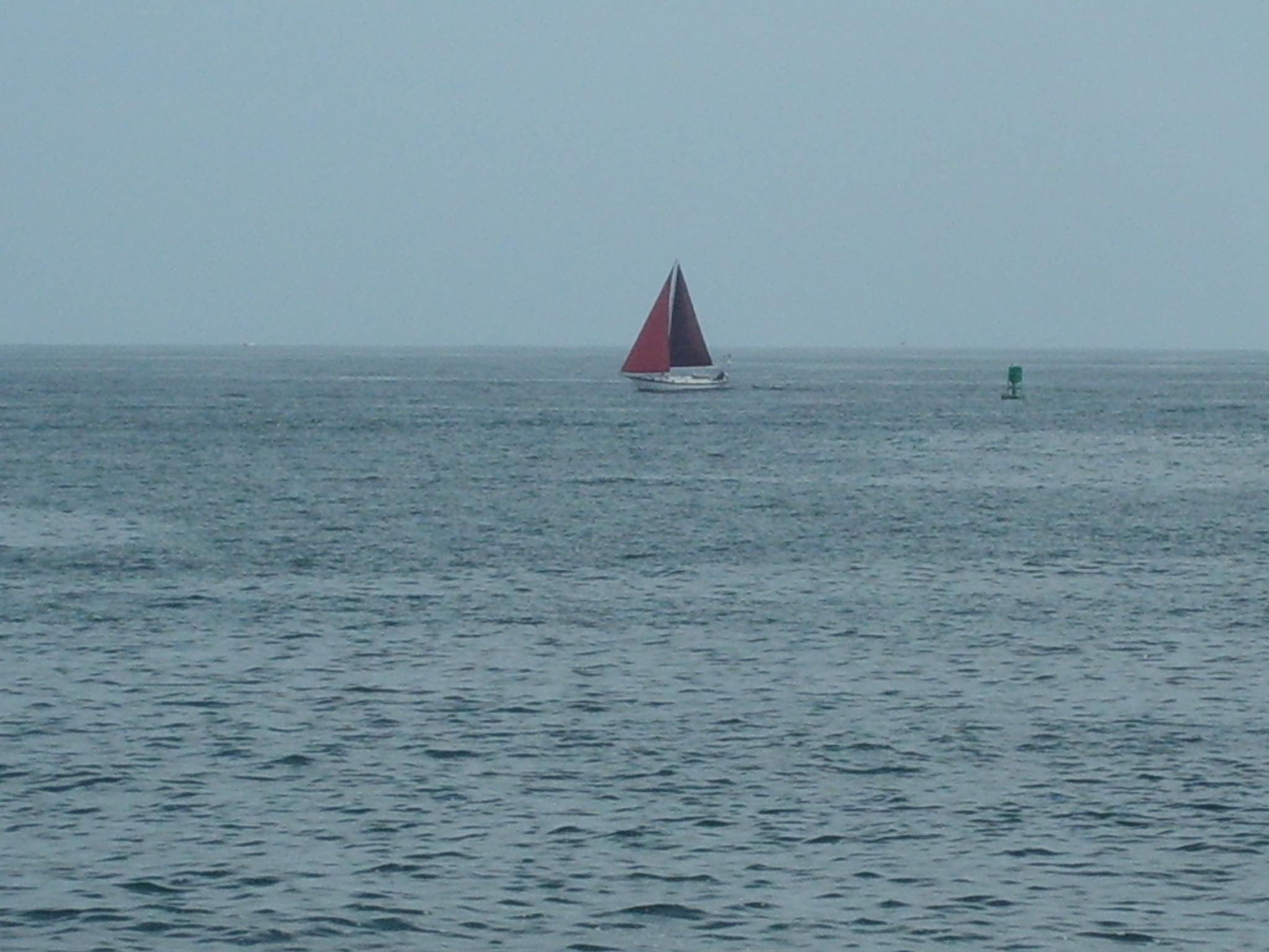 ocean, sail, 1080P, boats, red, sailboat, open sky, HD Wallpaper