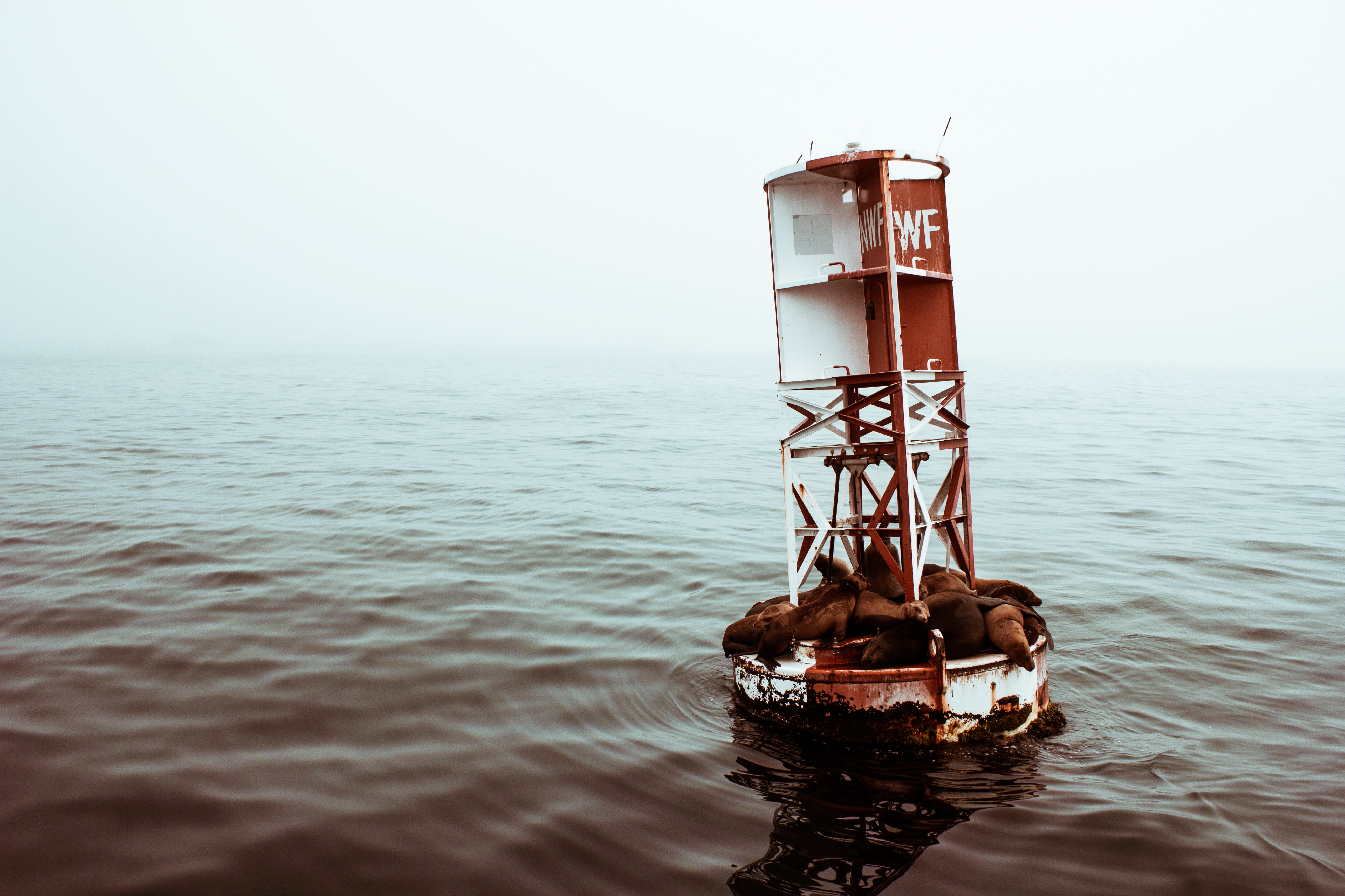 lighthouse, transportation, water, outdoors, coastline, nature, landscape, open sea, blue, white, post, metal, wave, ocean, equipment, no People, floating, HD Wallpaper