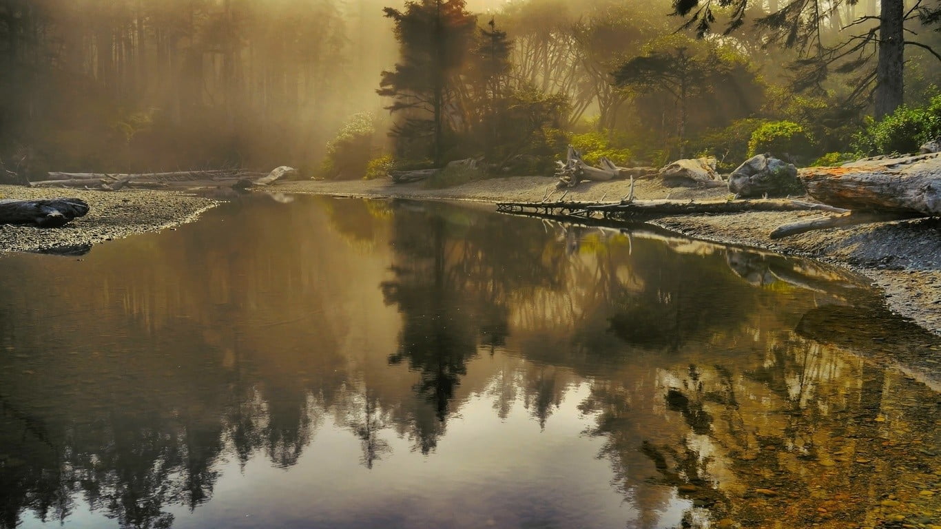 720P, reflection, lake, plant, land, no people, growth, tranquility, across, tree, standing water, woods, idyllic, reflection lake, landscape, outdoors, HD Wallpaper