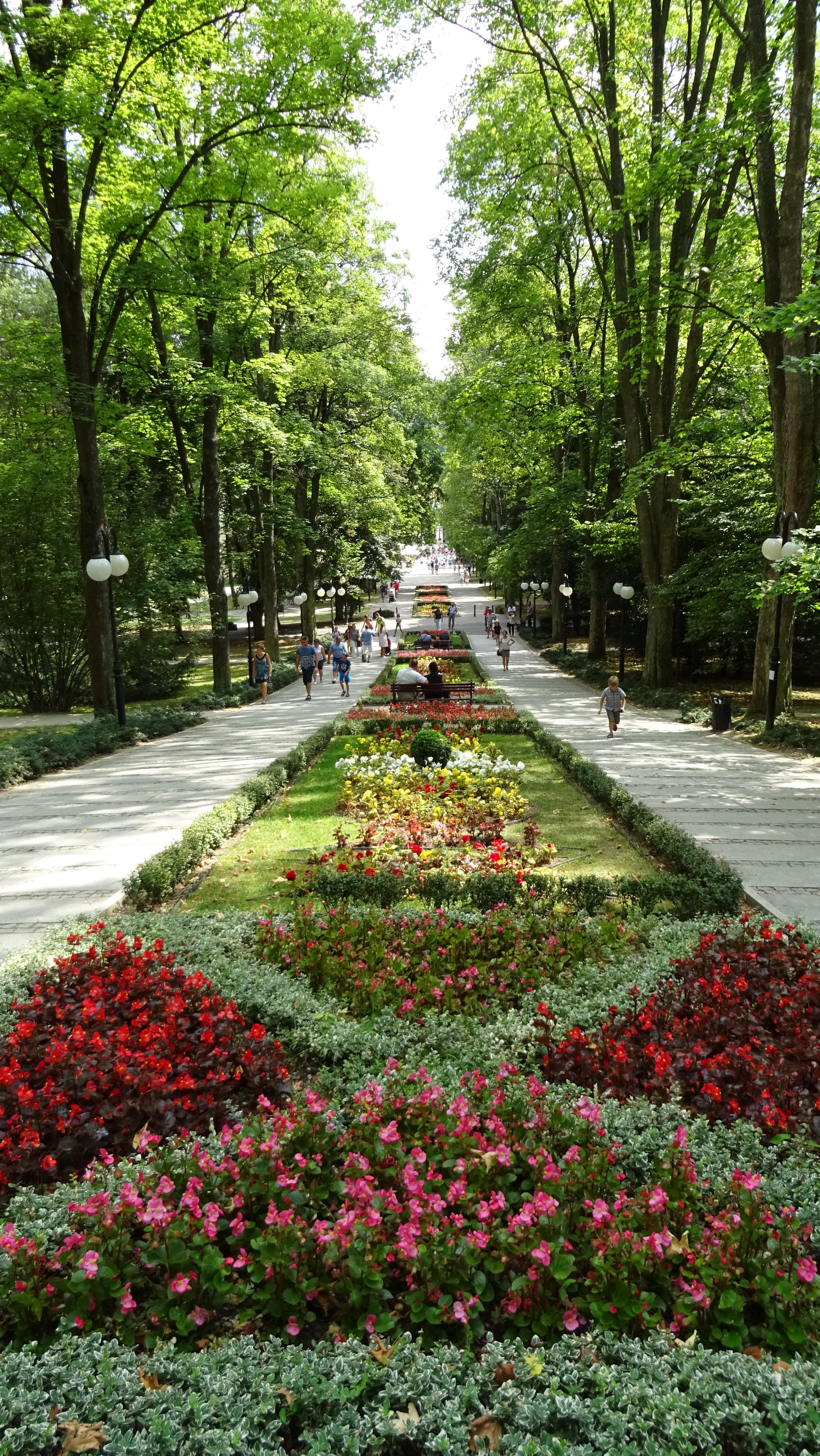 the pedestrian area, vegetation, nature, poland, flowerbed, peace of mind, summer, direction, landscape, holiday, tourism, flower, vulnerability, flowering plant, Phone HD Wallpaper