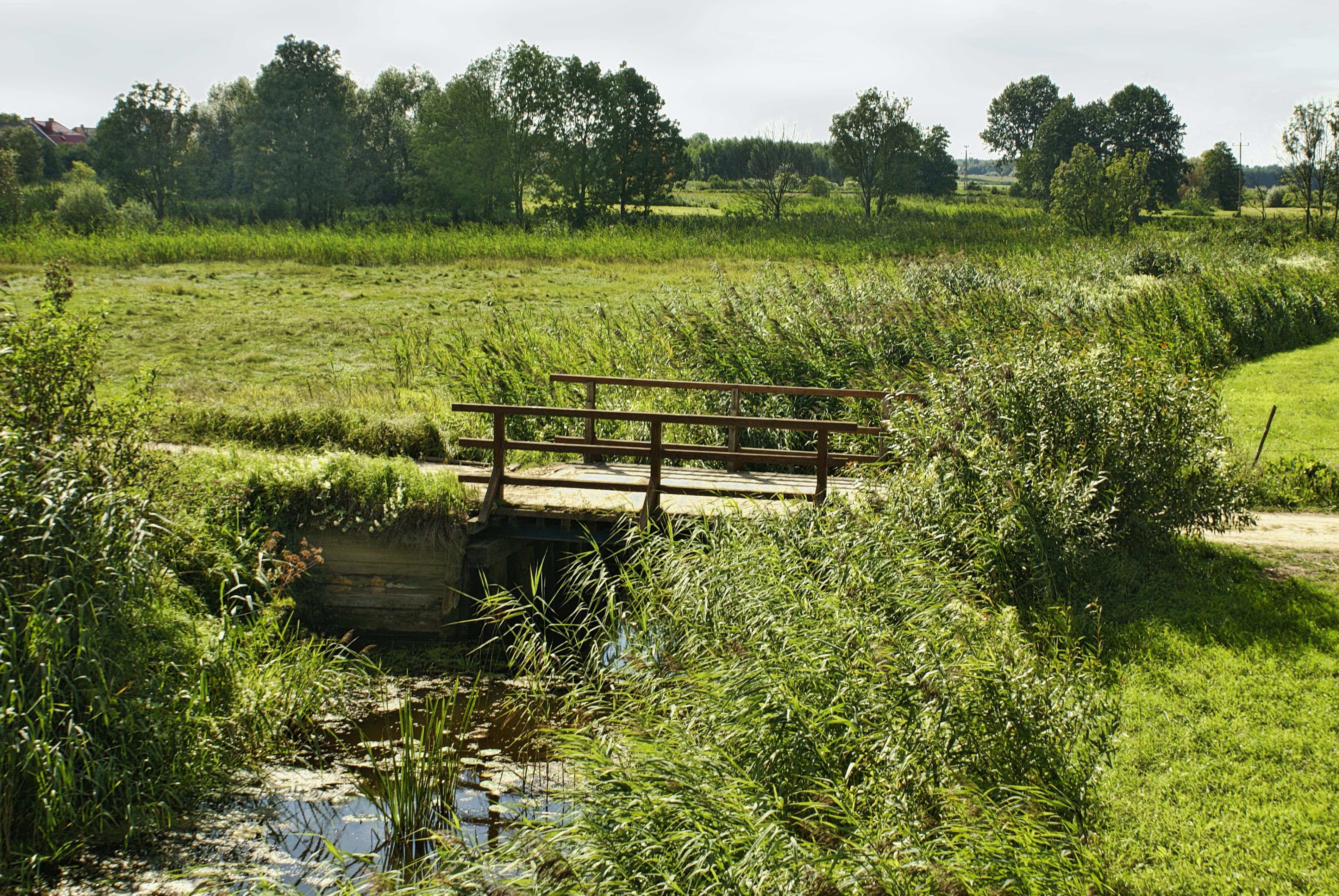 sunlight, bridge, tranquility, meadows, environment, field, landscape, the stage, scenics - nature, plant, podlasie, outdoors, grass, nature, holidays, HD Wallpaper