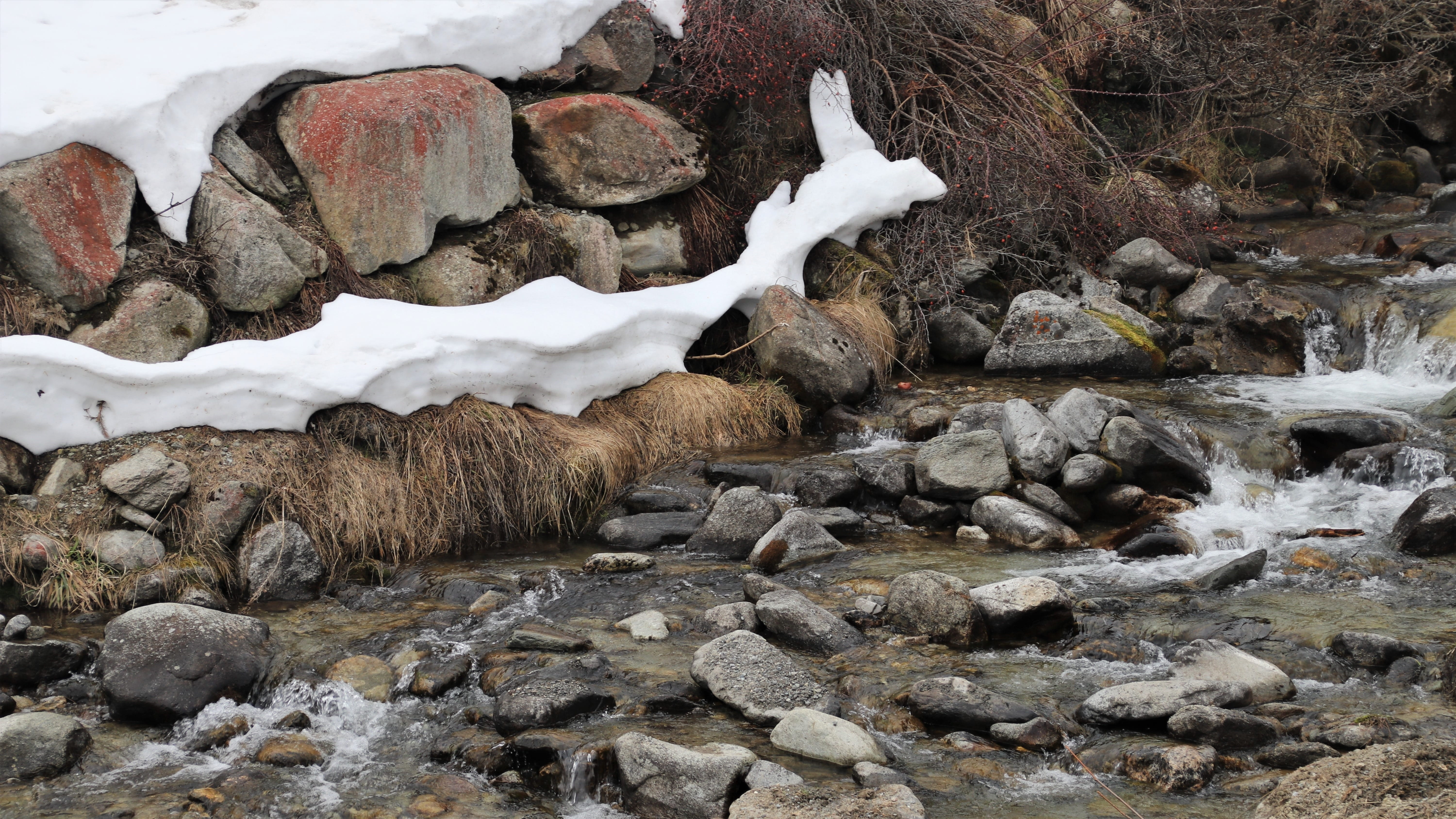 mood, bird, nature, pattern, rocks, stone, wet, solid, biel, water, peace of mind, animals in the wild, switzerland, tint, the stones, land, snow, chill, HD Wallpaper