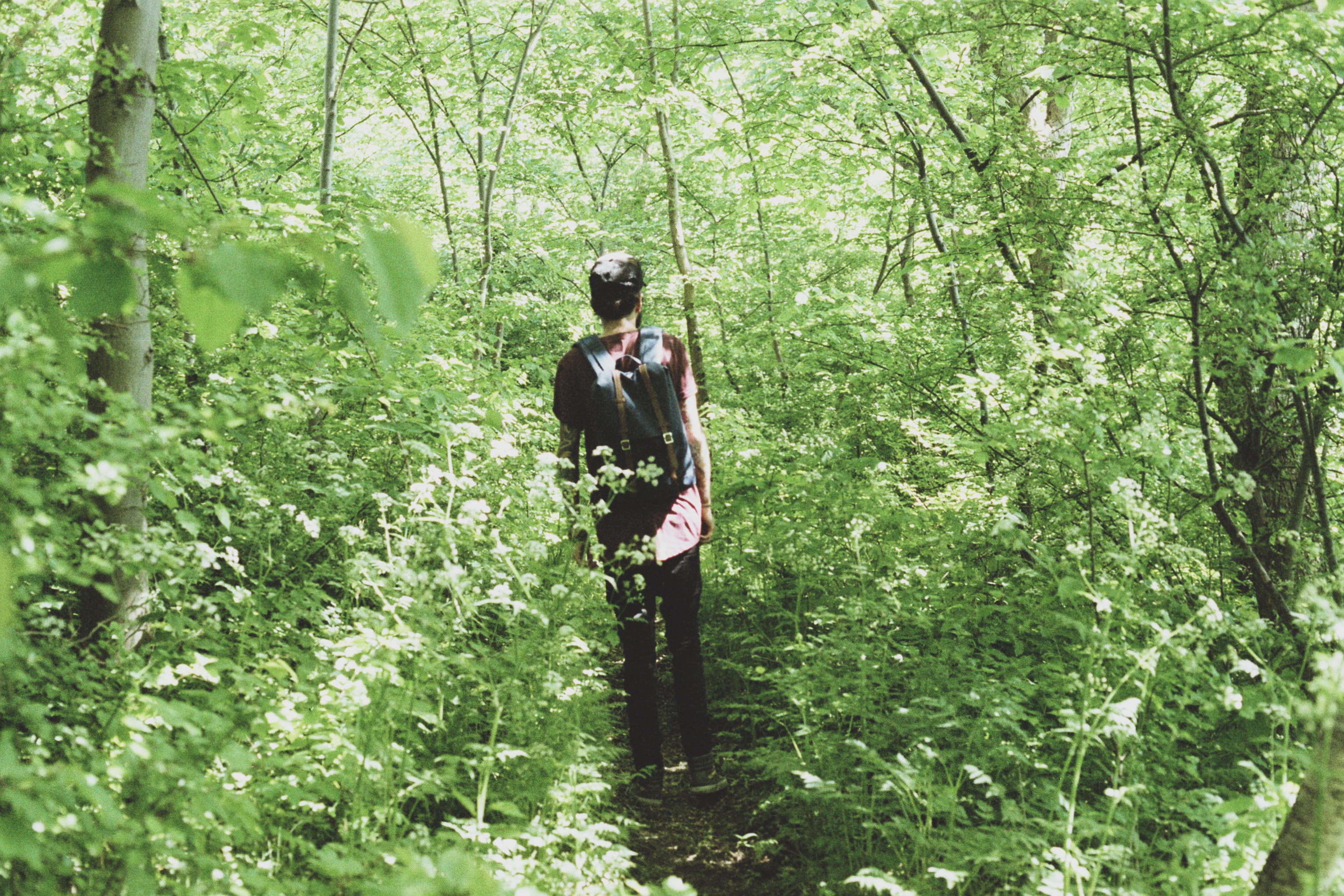 nice, young adult, film, three quarter length, full length, 35mm, film camera, town christiania, backpack, leafs, standing, tree, cap, 2K, forest, quiet, HD Wallpaper