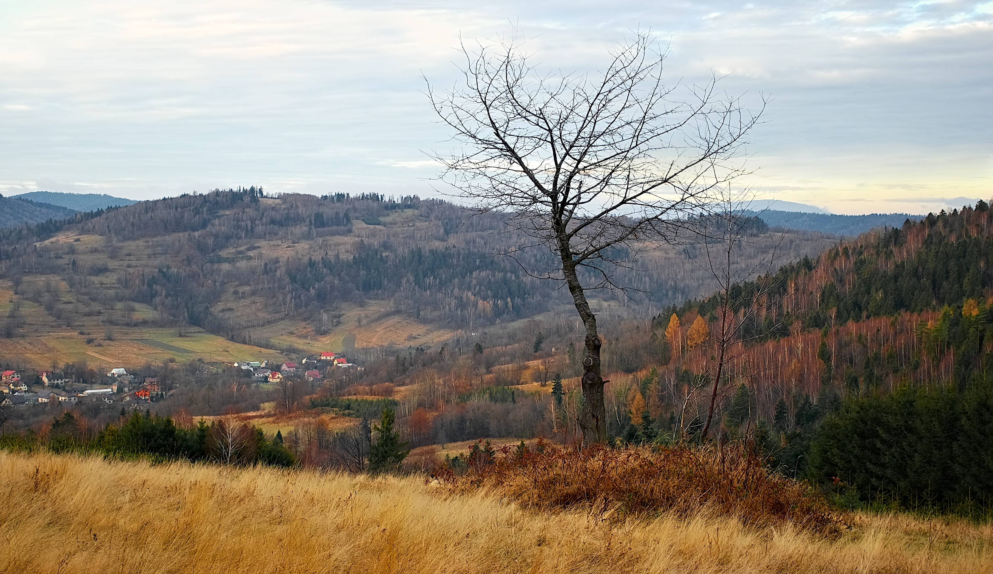 mountains, sky, nature, village, change, cloud - sky, grass, tranquility, houses, polyana, non-urban scene, tranquil scene, environment, forest, autumn, HD Wallpaper