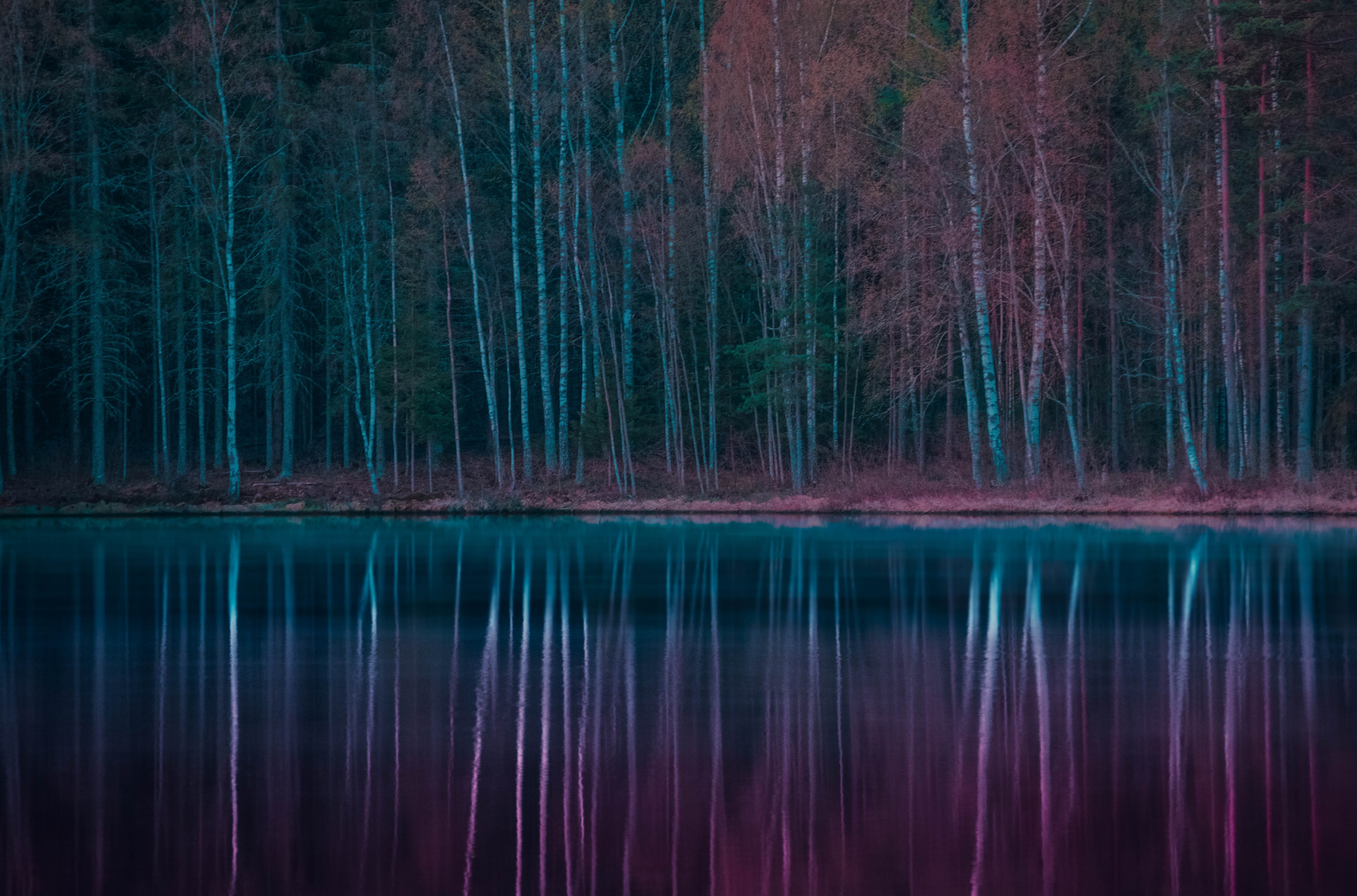 forests, quiet, peace of mind, environment, 5K, woodland, beautiful, reflection, scenics - nature, landscape, growth, tranquil scene, tree, forest, the stage, HD Wallpaper