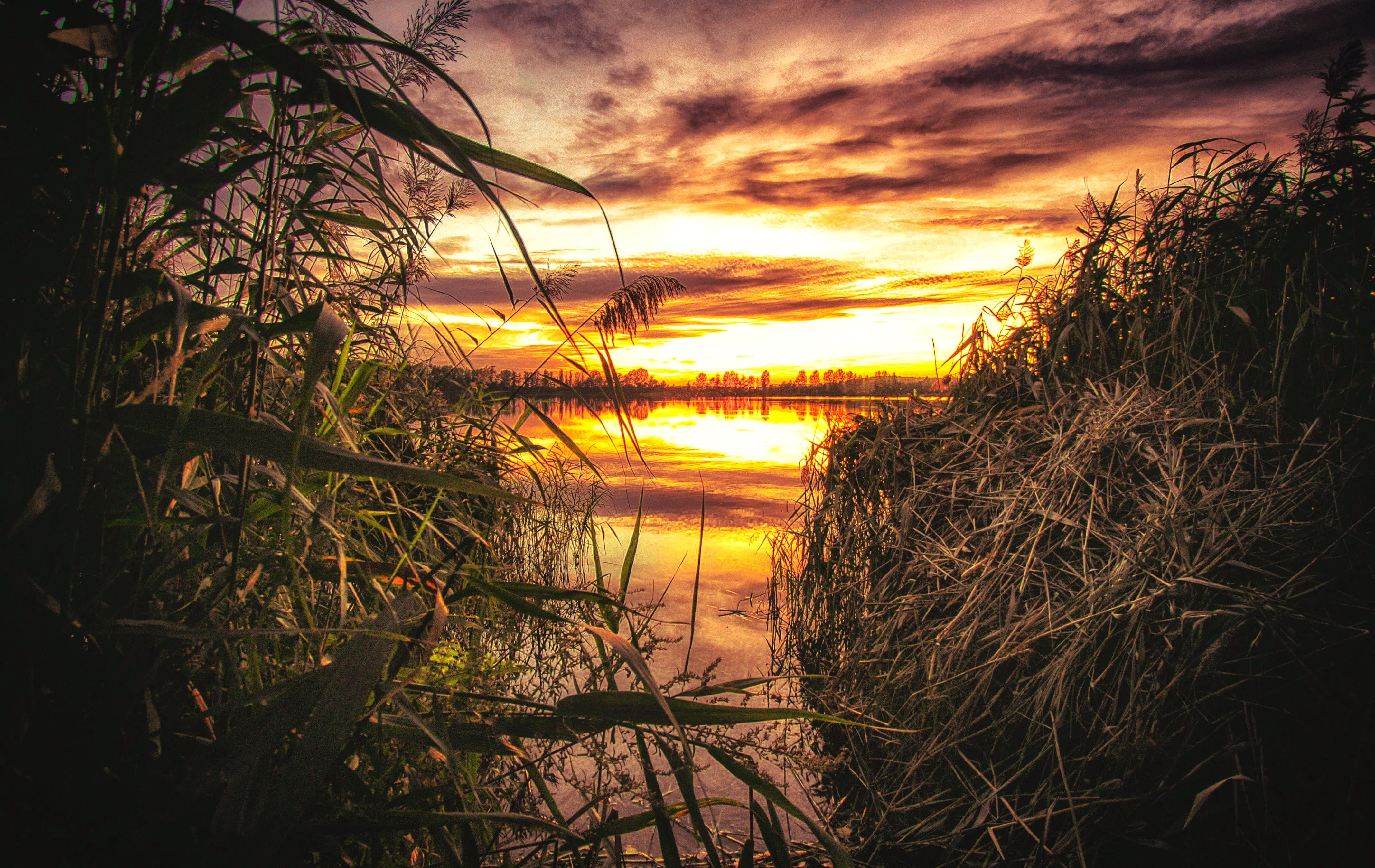 outdoors, red, twilight, water, orange color, quiet, tranquility, beauty in nature, pond, the horizon, landscape, 4K, in the evening, plant, west, clouds, HD Wallpaper