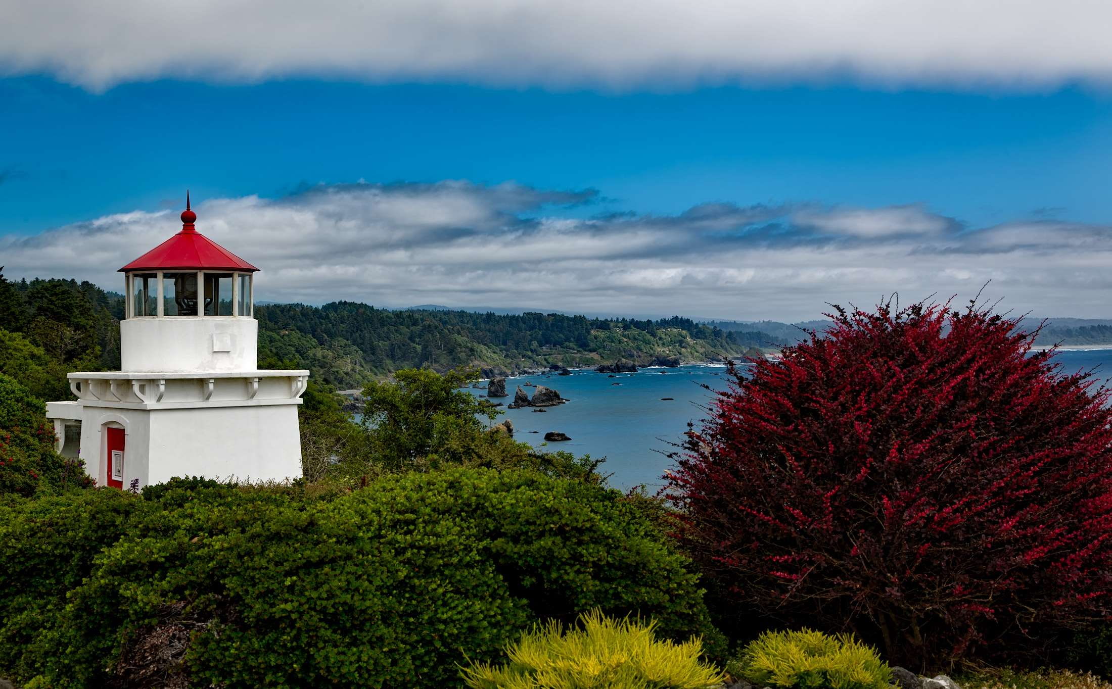 ocean, built structure, 1080P, seaside, trinidad memorial lighthouse, water, building exterior, nature, trees, woods, cove, beauty in nature, historic, HD Wallpaper