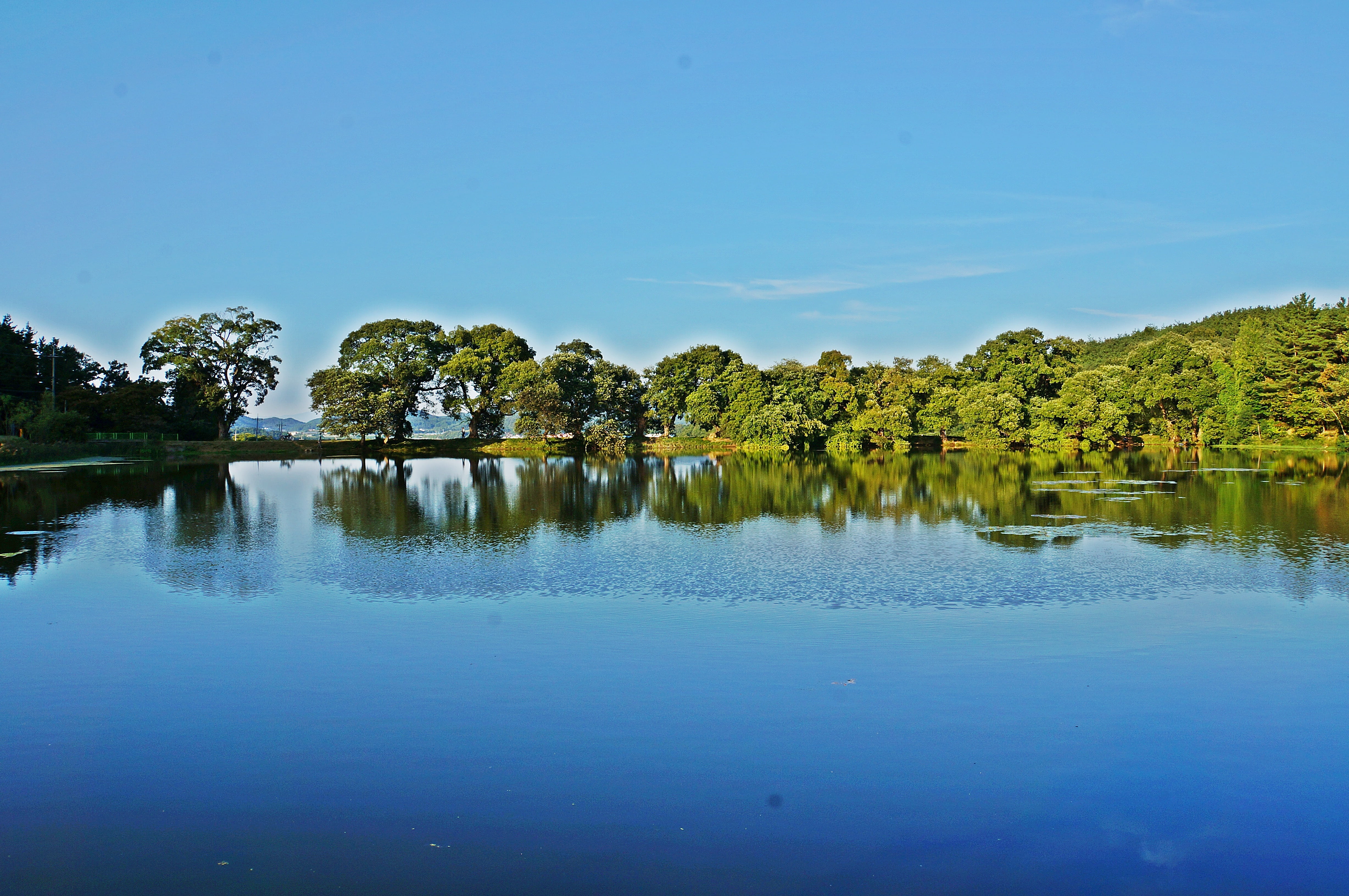 nature, sky, summer, plant, blue sky, 4K, tree, tranquil scene, clear sky, copy space, reflection, forest, green, pond, outdoors, autumn sky, waterfront, HD Wallpaper