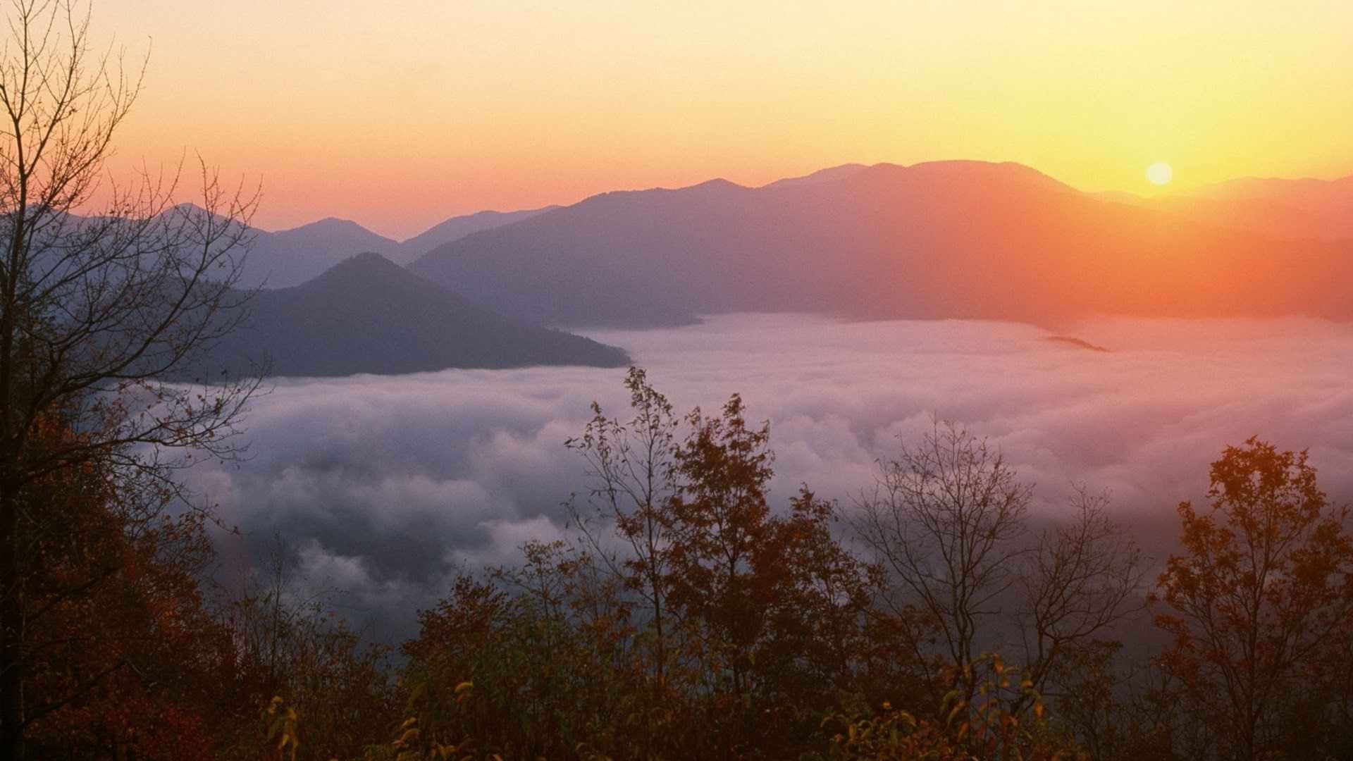 mountains, sunrise, memorial, carolina, joyce, north, 1080P, forests, HD Wallpaper