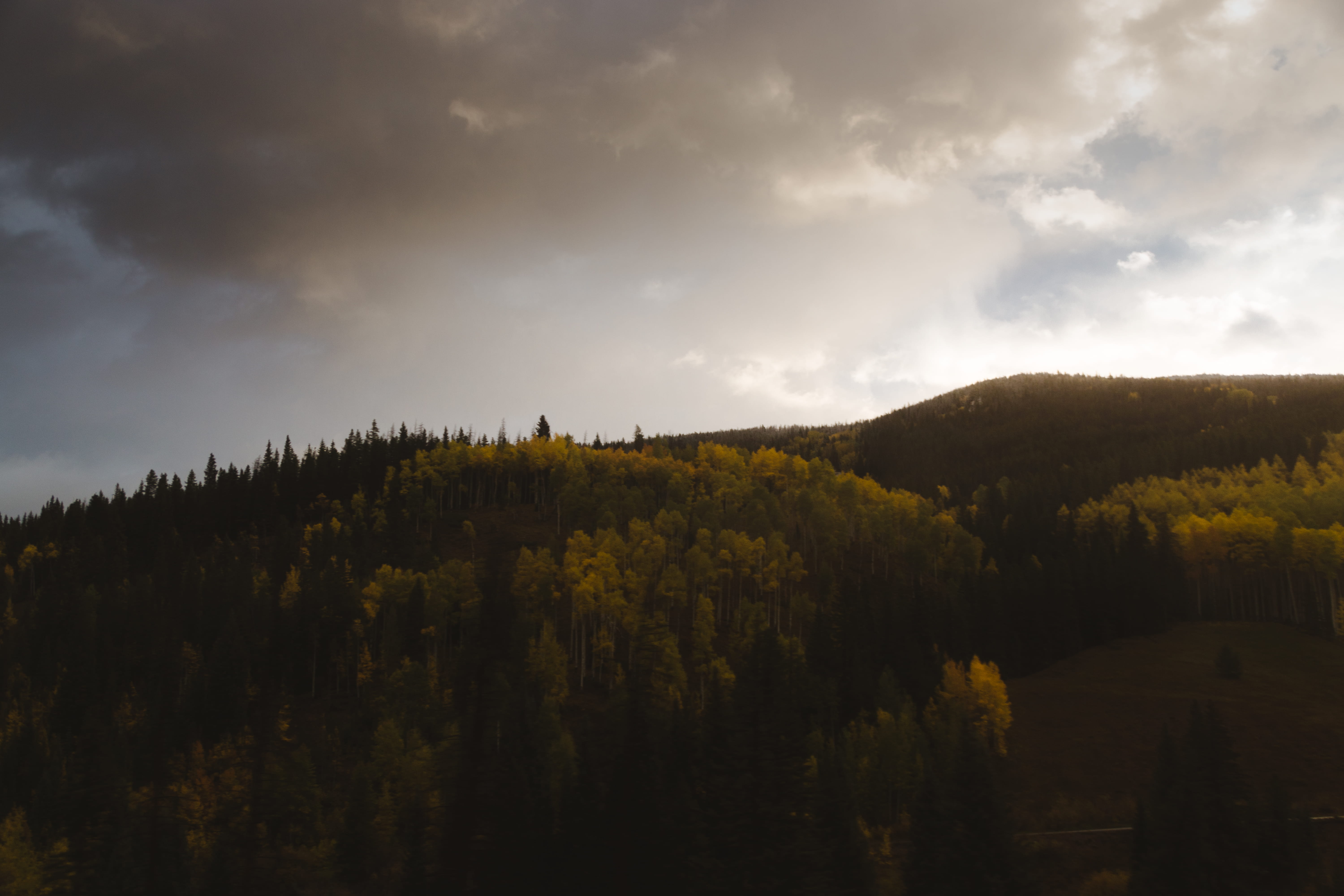 growth, no people, plant, sunset, outdoors, yellow leaves, dark, memories, colorado, trees, united states, forest, idyllic, environment, tranquil scene, HD Wallpaper