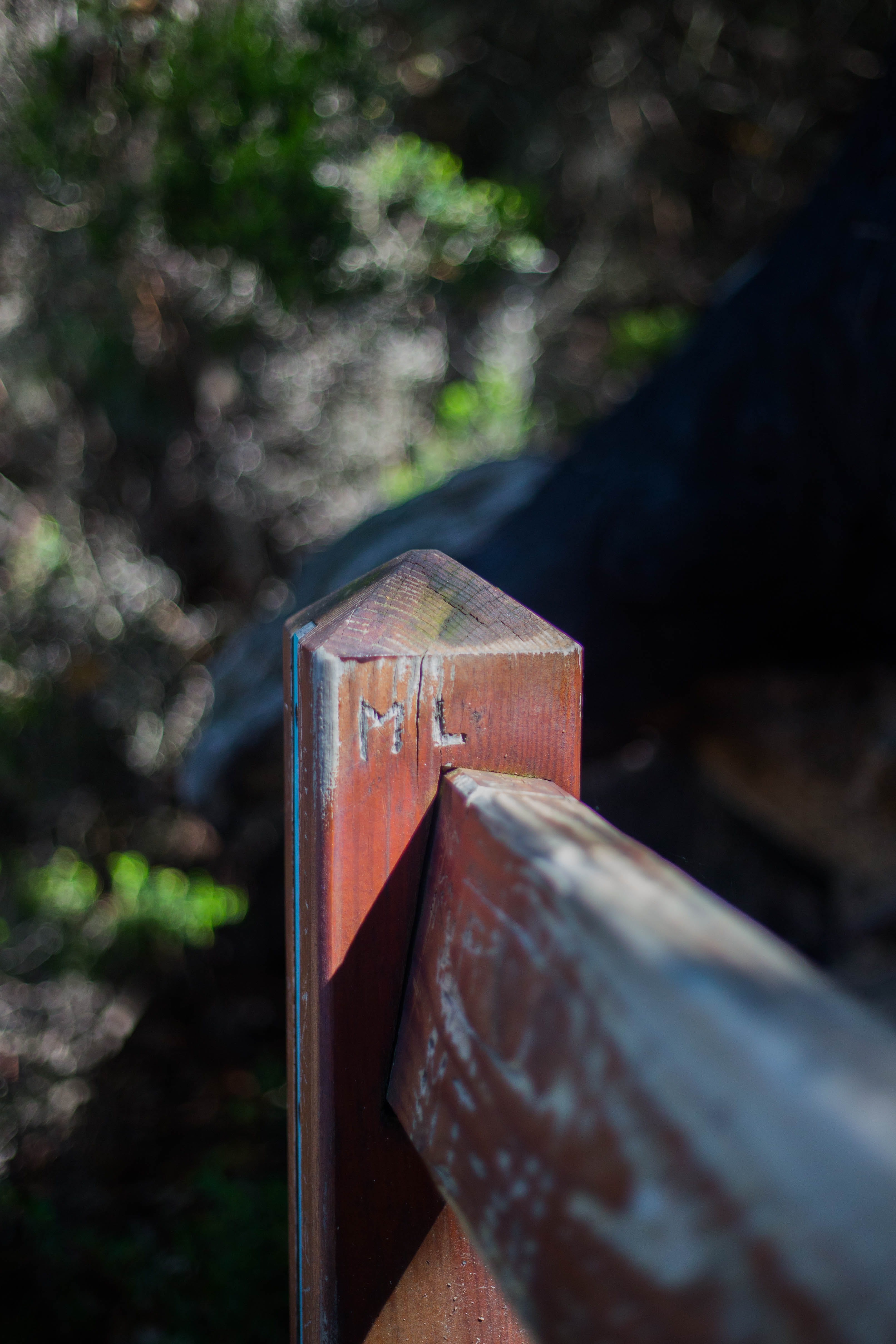 plant, forest, bench, old, close-up, bolt, day, no people, red, wood, nail, weathered, wooden post, outdoors, metal, rusty, deterioration, engraving, wood - material, Phone HD Wallpaper