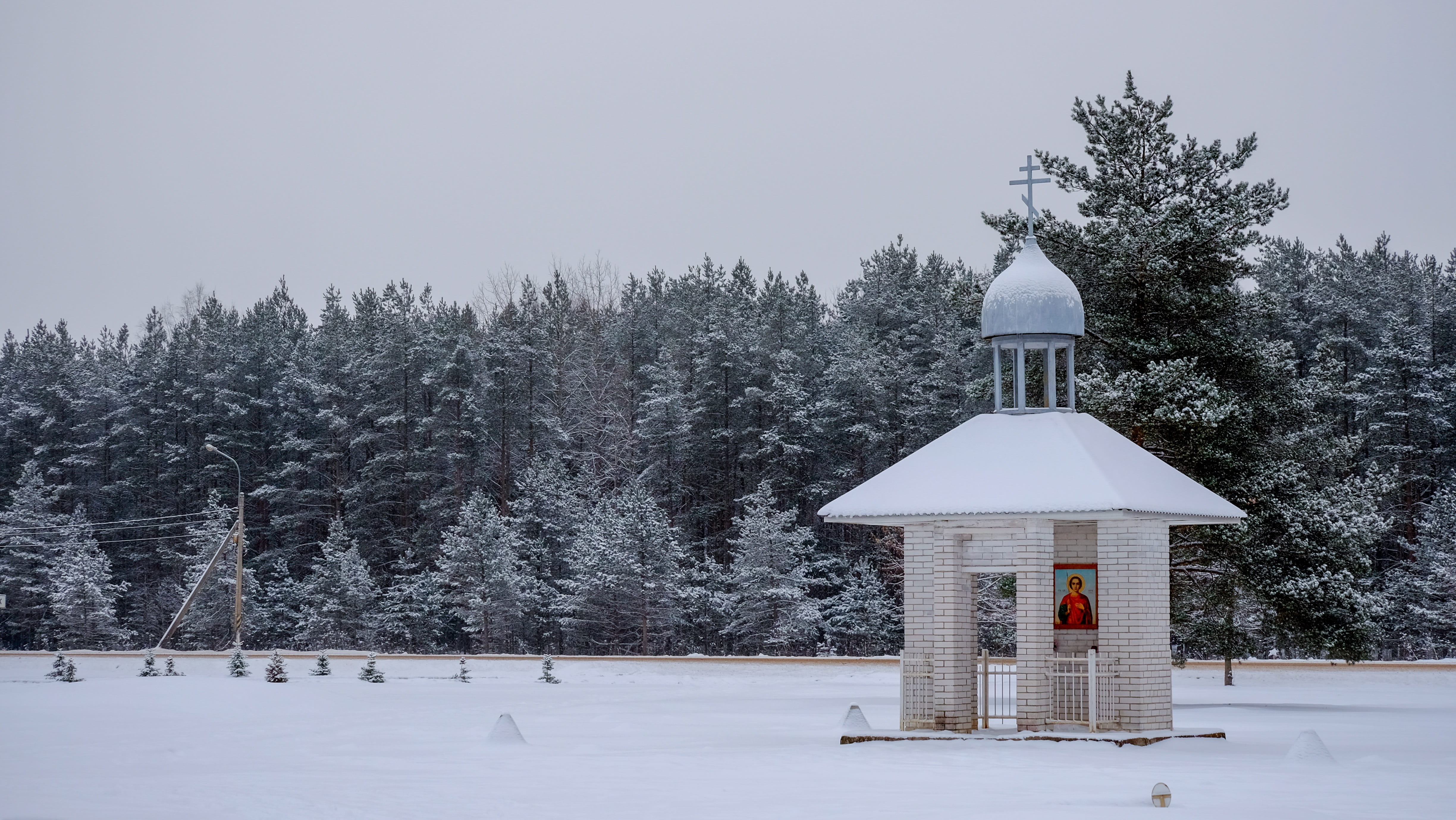 field, tree, day, coldly, chapel, forest, outdoors, wood, white color, 4K, built structure, place of worship, memorial, belief, architecture, nature, sky, HD Wallpaper