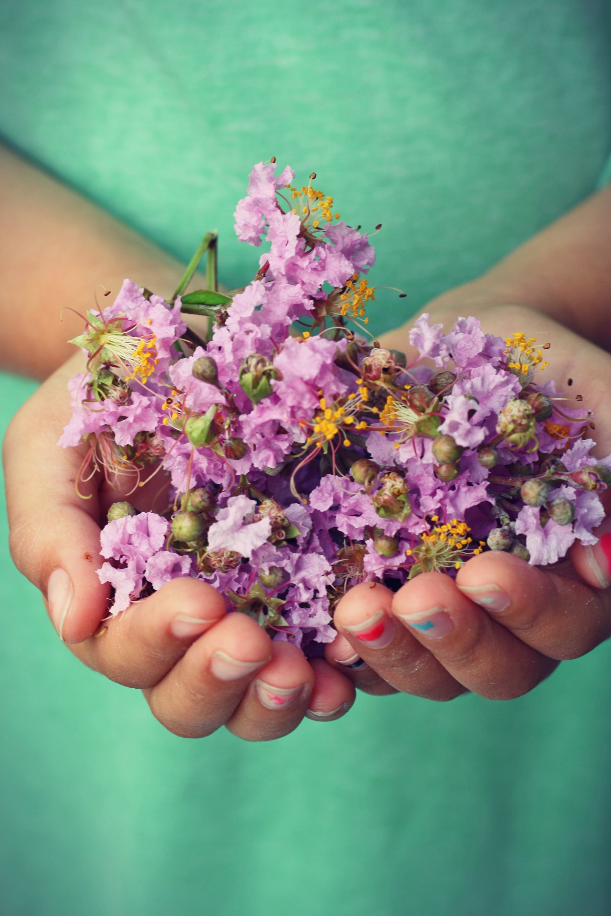 person, friendship, children, hands cupped, one person, flowers, focus on foreground, vulnerability, farm, two hands, two, only women, real people, flowering plant, Phone HD Wallpaper